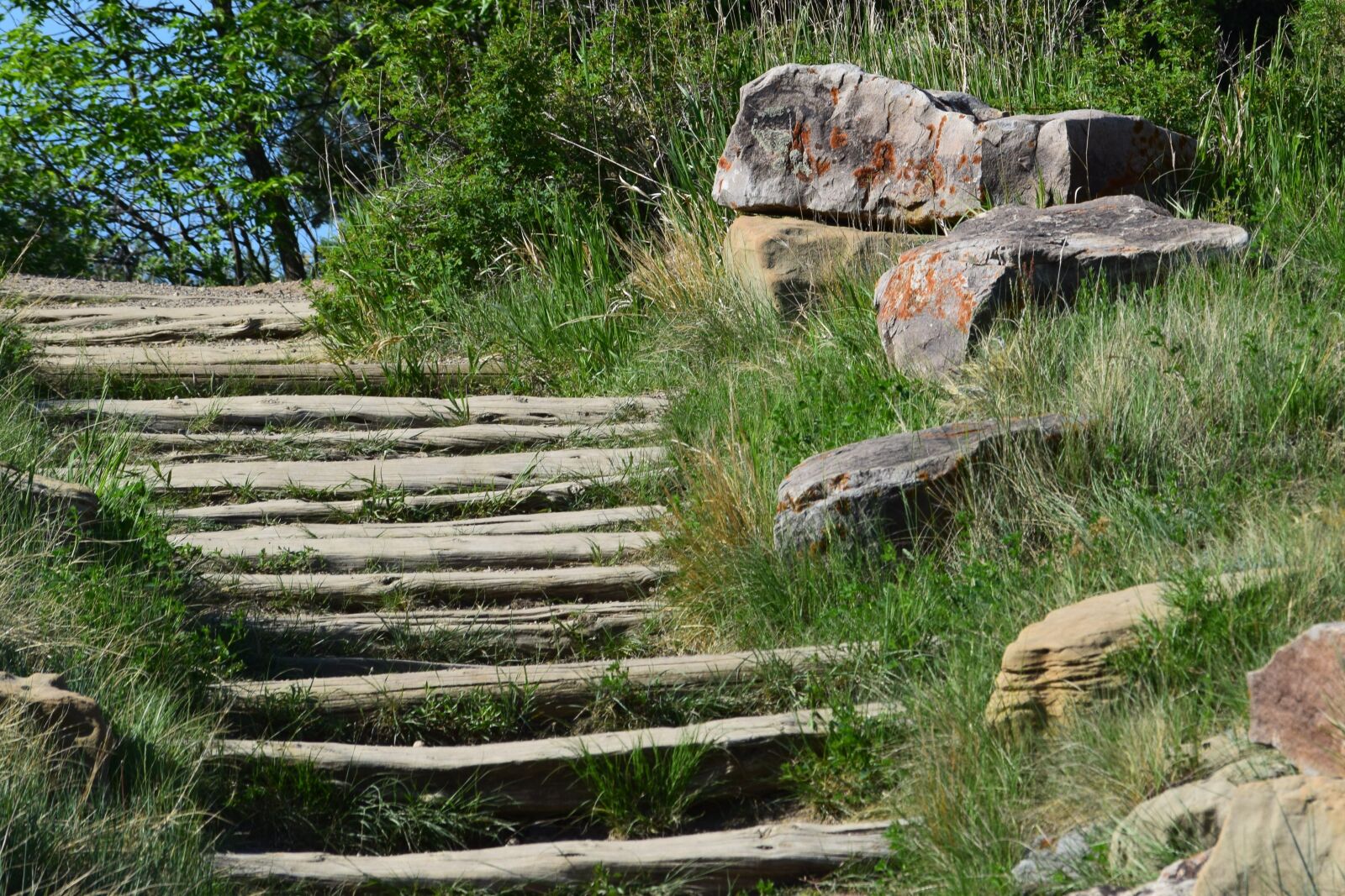 Nikon D3300 sample photo. Stairs, trails, hiking photography