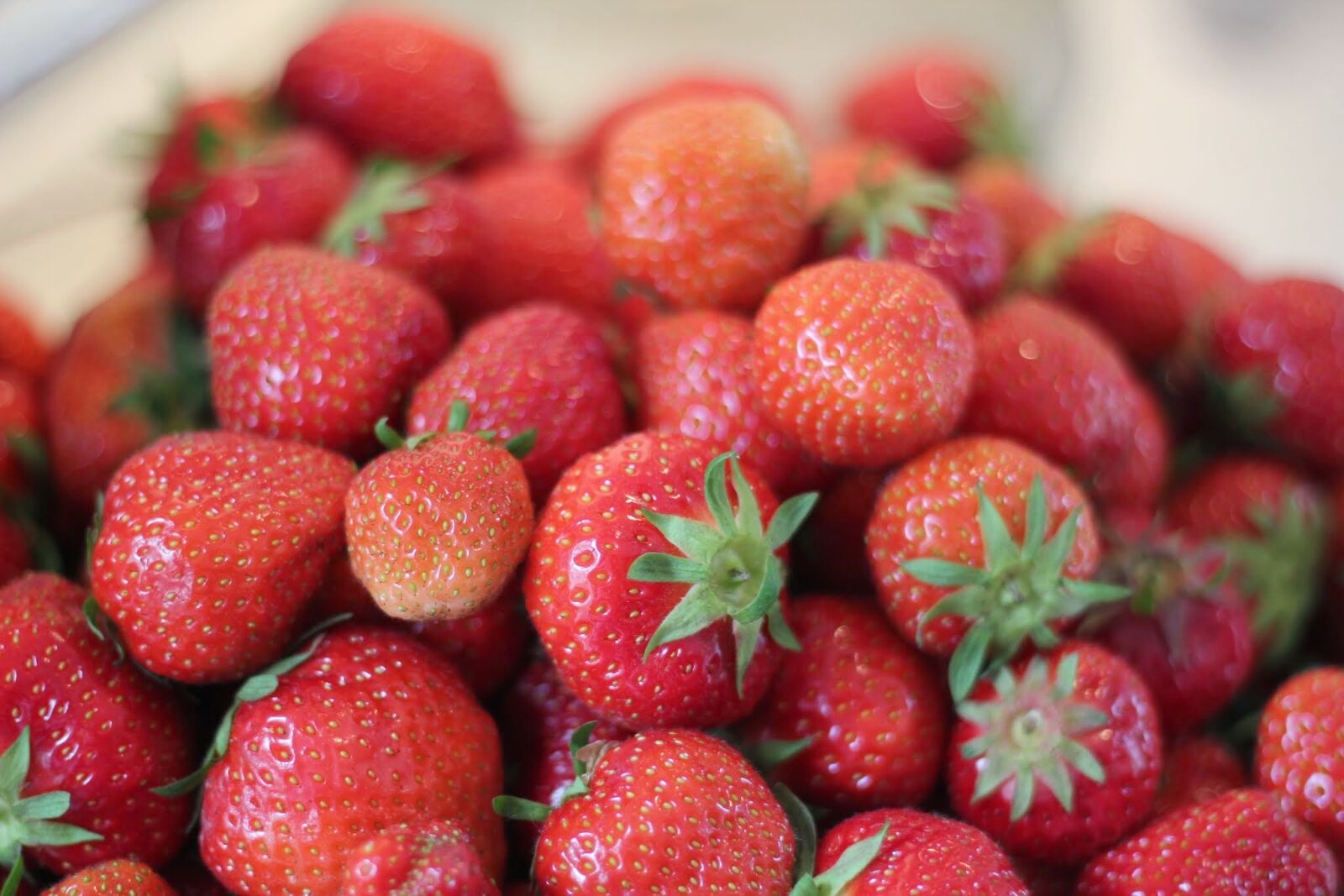Canon EOS 550D (EOS Rebel T2i / EOS Kiss X4) sample photo. Strawberries, summer, midsummer photography
