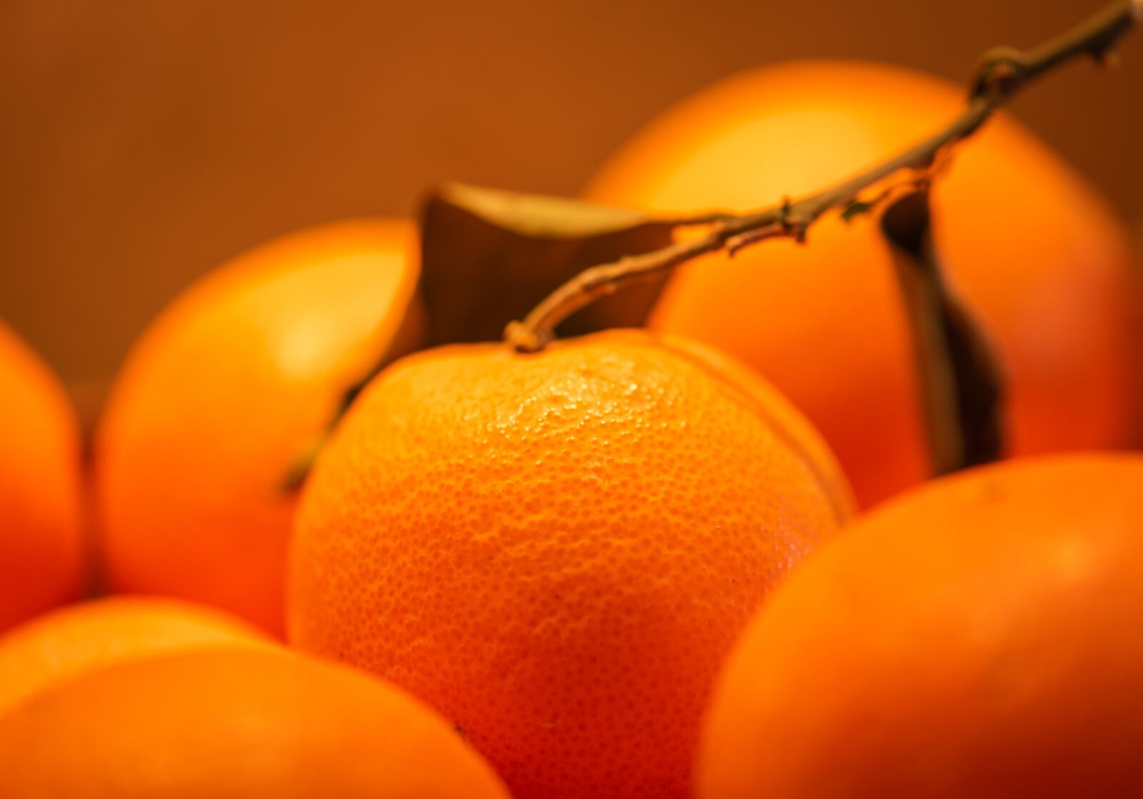 Nikon D750 sample photo. Orange, fruit, vitamins photography