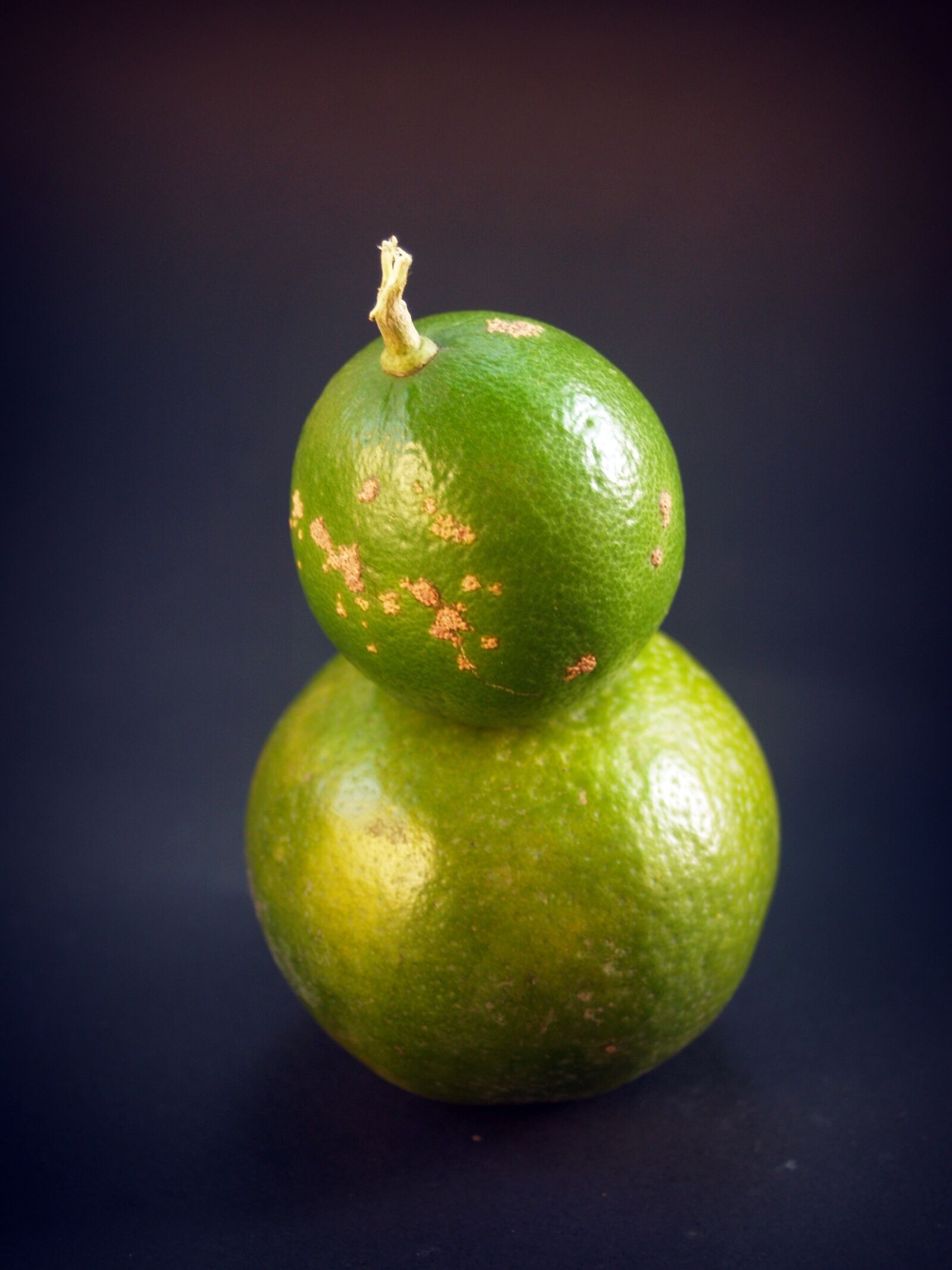 Olympus E-300 (EVOLT E-300) sample photo. Lime, lemon, slice photography