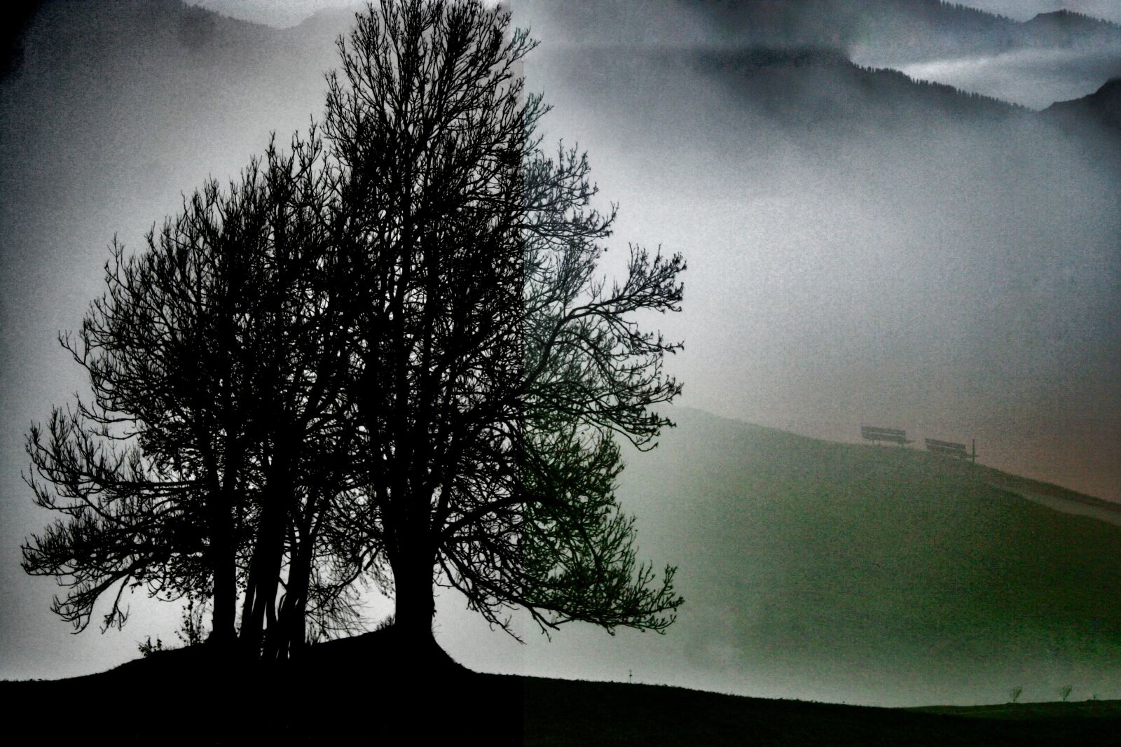 Canon EOS 350D (EOS Digital Rebel XT / EOS Kiss Digital N) sample photo. Superimposition, trees, alps photography