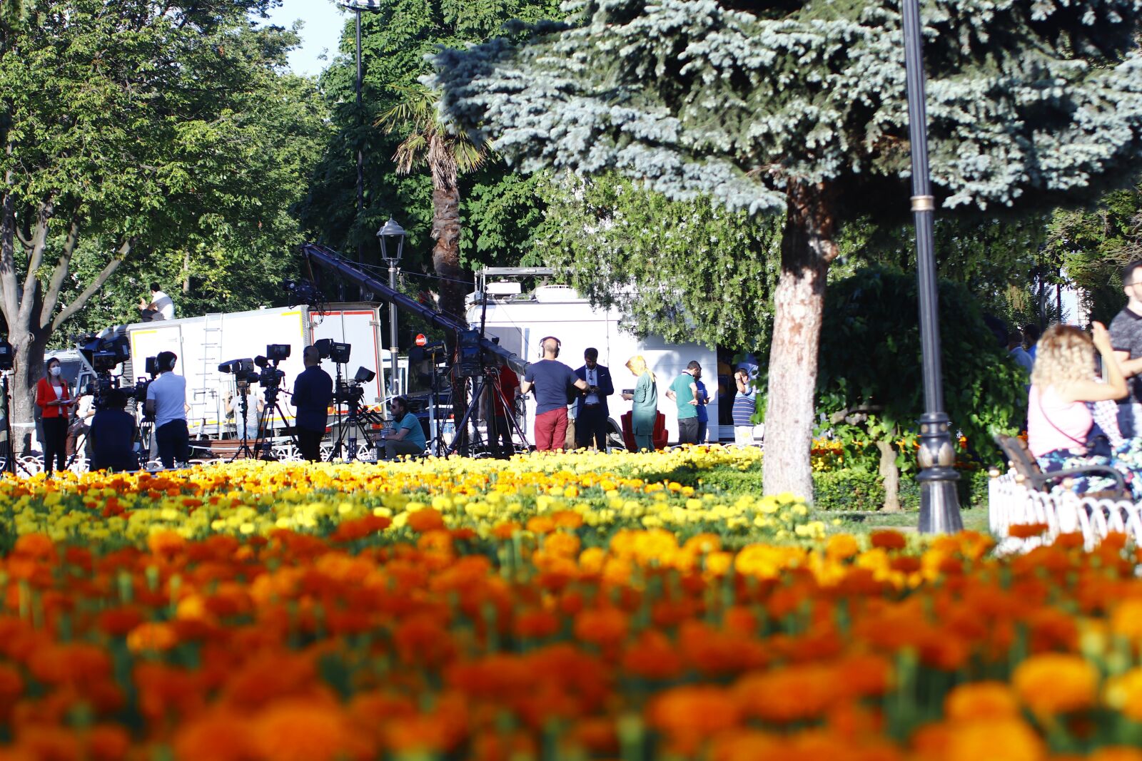 Canon EOS 200D (EOS Rebel SL2 / EOS Kiss X9) sample photo. Flower, garden, landscape photography