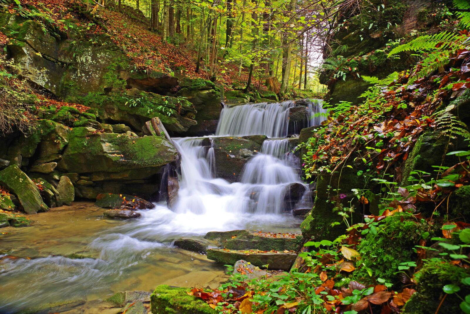 Pentax K-1 sample photo. Poland, bieszczady, nature photography