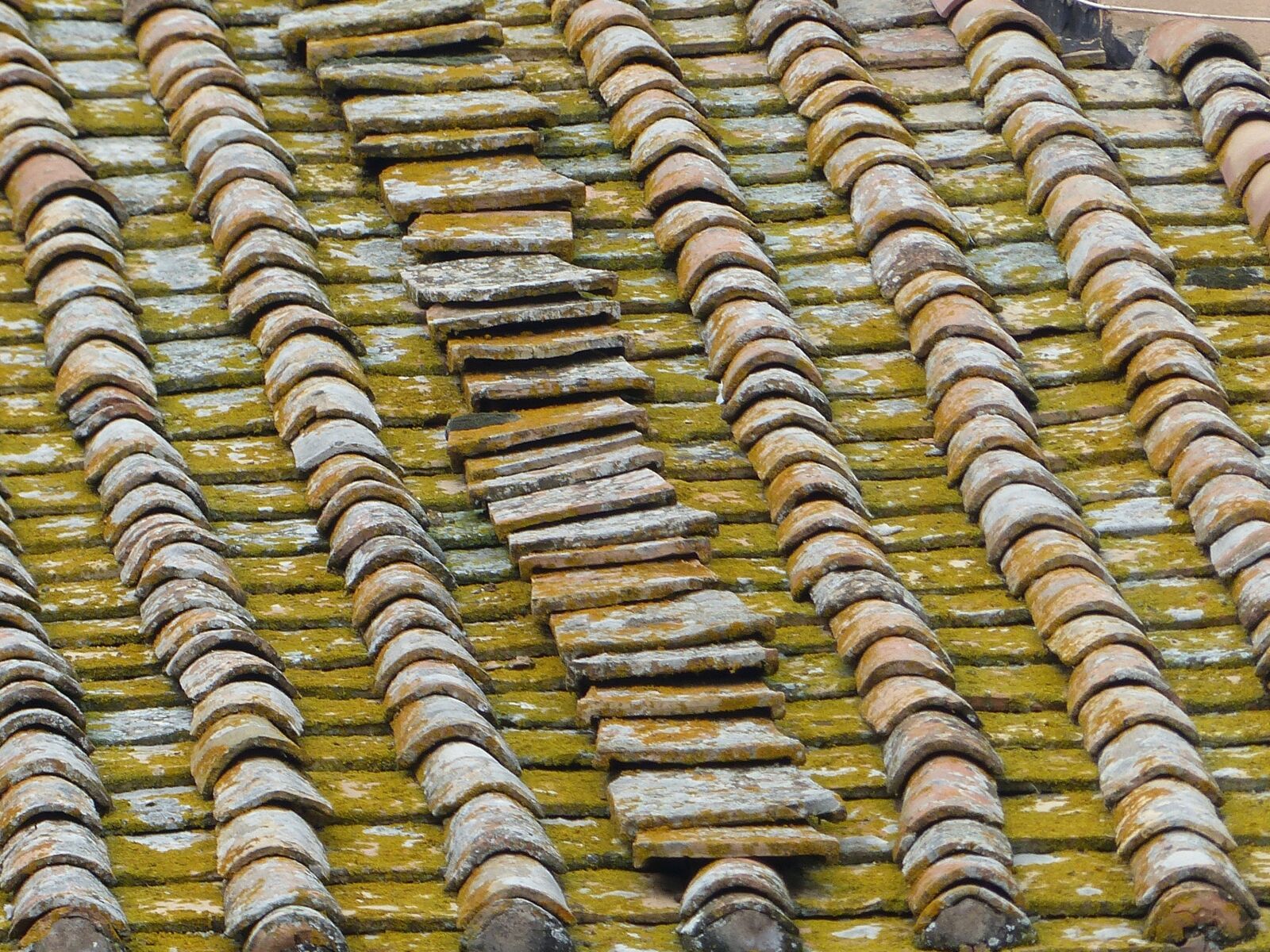 Panasonic Lumix DMC-FZ200 sample photo. Roof, tiles, terracotta photography