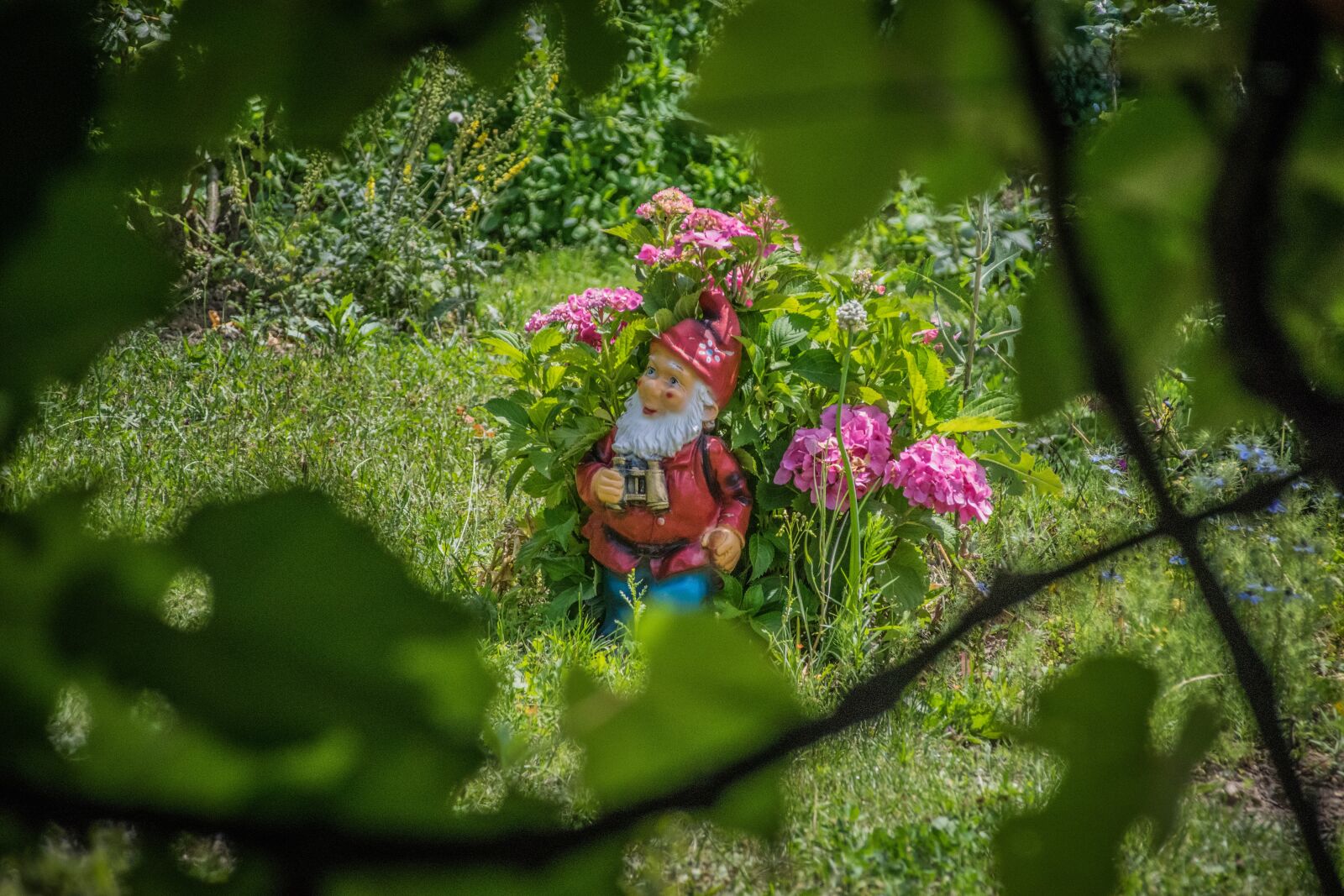 Nikon D5300 sample photo. Dwarf, kitsch, garden photography