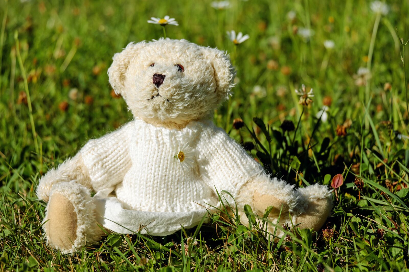 Fujifilm X-T10 + Fujifilm XC 50-230mm F4.5-6.7 OIS sample photo. Teddy, plush, bears photography