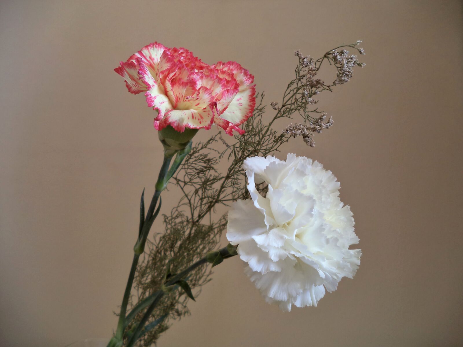Sony Cyber-shot DSC-W710 sample photo. Carnations, flowers, bouquet photography