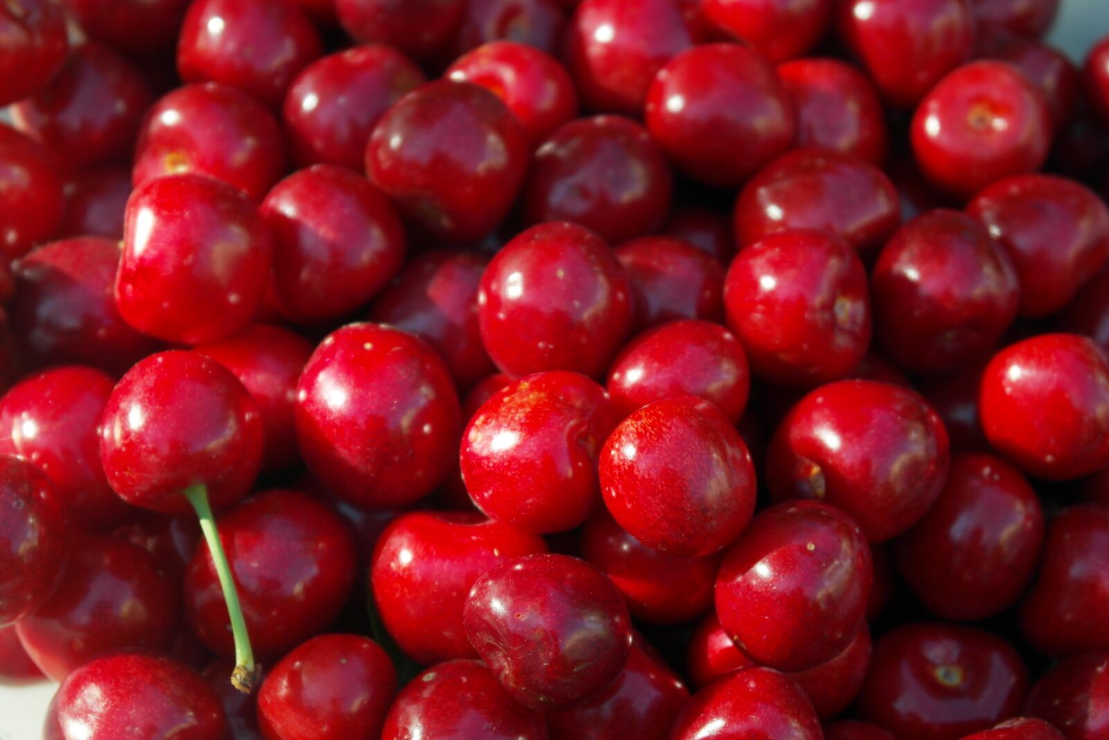 Samsung NX1000 sample photo. Cherry, berry, tasty photography