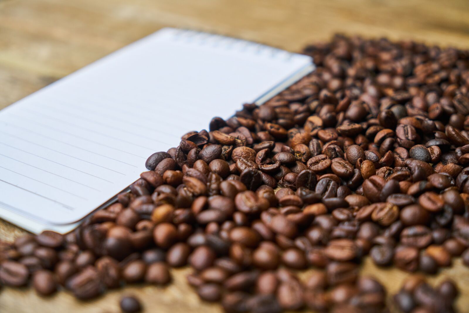 Sony a7R II sample photo. Notebook, coffee, course photography