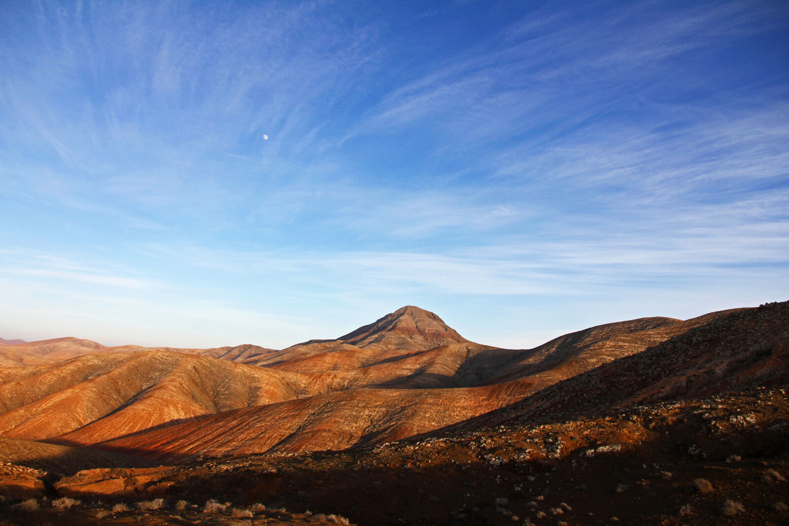 Canon EOS 550D (EOS Rebel T2i / EOS Kiss X4) sample photo. Blue, sky, under, brown photography