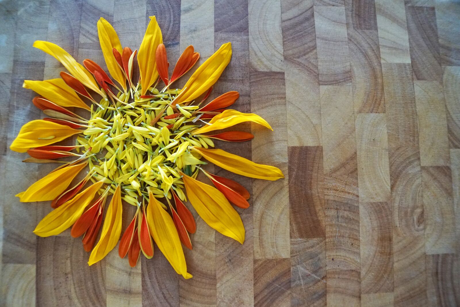 Sony ILCA-77M2 + Sony DT 16-50mm F2.8 SSM sample photo. Flower, sunflower, sun photography