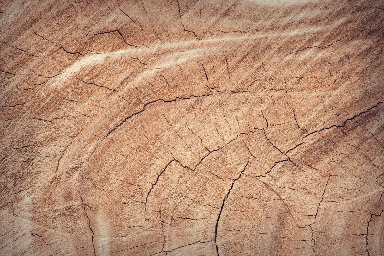 Nikon D700 sample photo. Abstract, antique, backdrop photography
