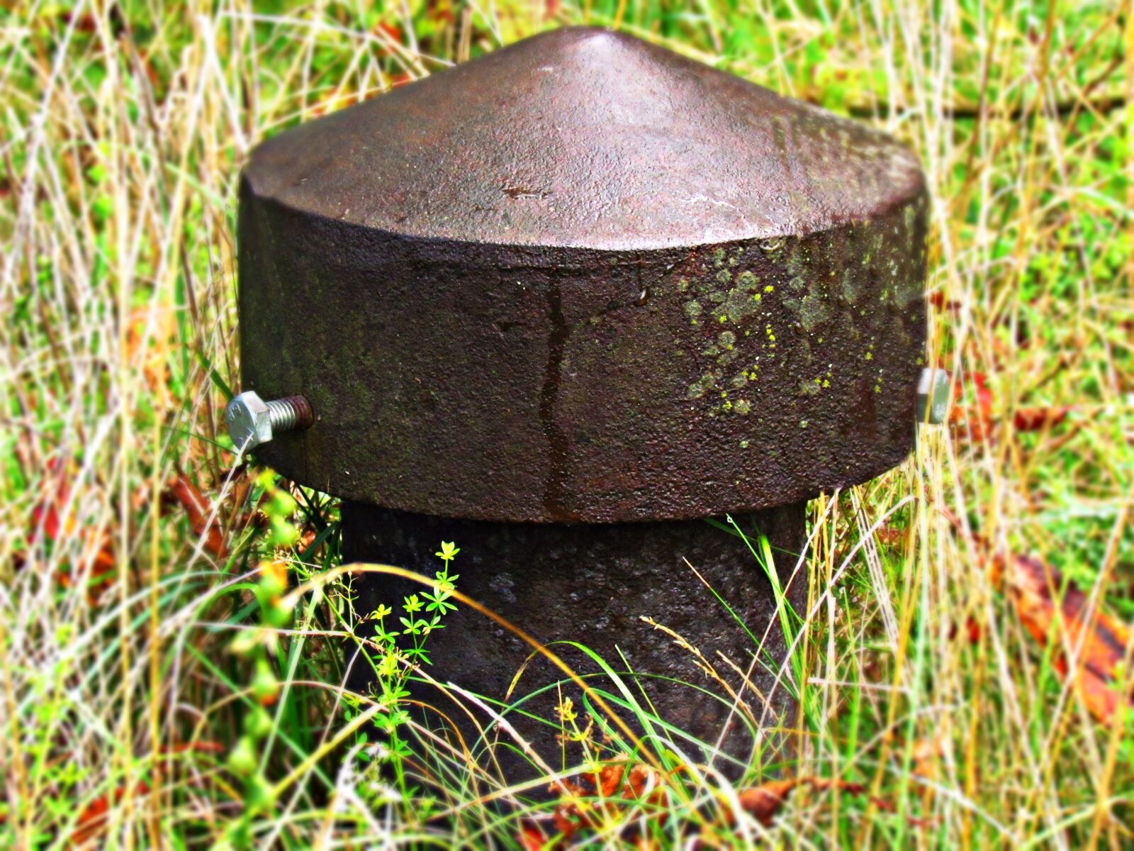 Canon PowerShot SX30 IS sample photo. Grass, meadow, fire hydrant photography