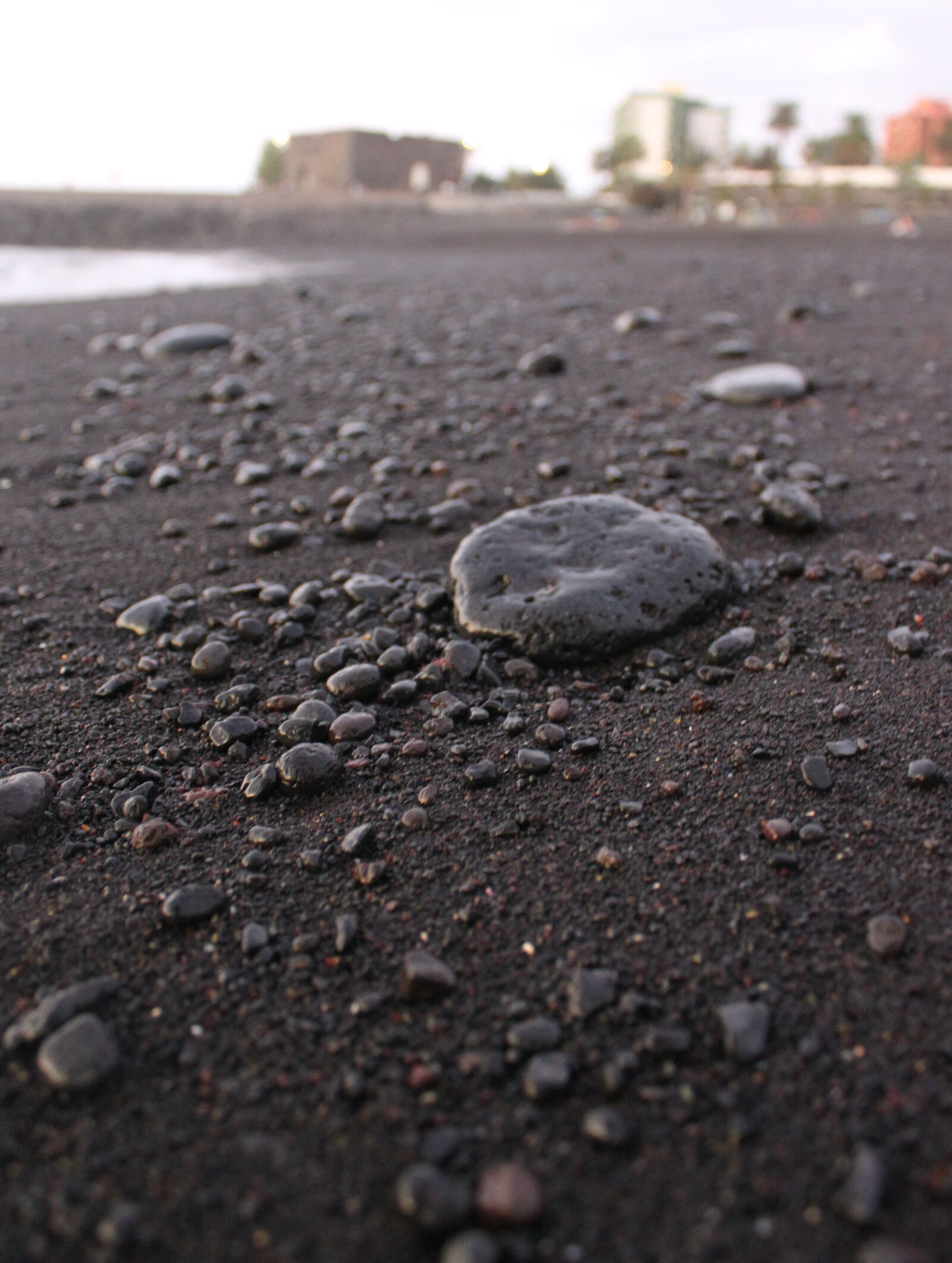 Canon EOS 500D (EOS Rebel T1i / EOS Kiss X3) sample photo. Beach, black, fun, holidays photography