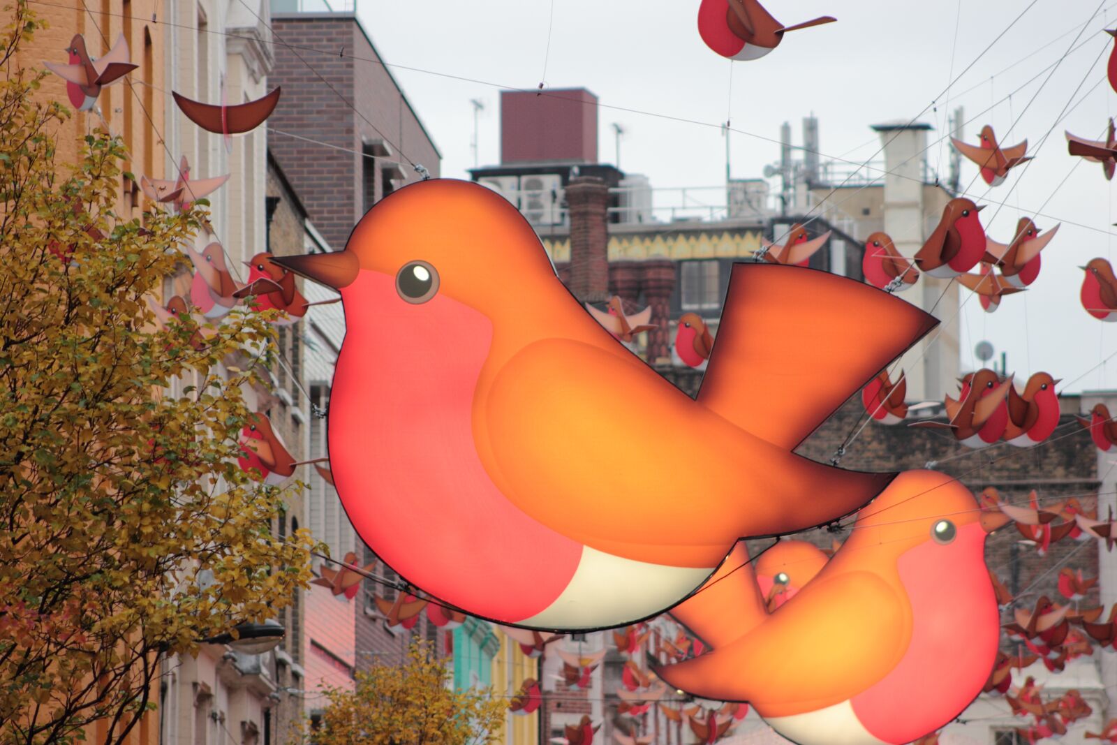 Canon EOS 550D (EOS Rebel T2i / EOS Kiss X4) sample photo. Birds, london, soho photography