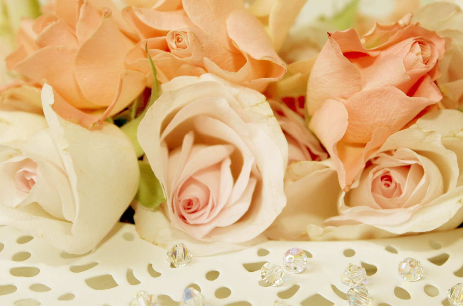 Canon EOS 600D (Rebel EOS T3i / EOS Kiss X5) sample photo. Roses, plate, romantic photography