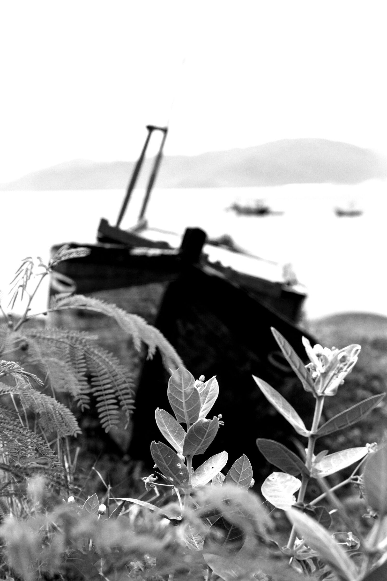 Canon EOS 60D + Canon EF 50mm F1.4 USM sample photo. Sky, travel, color photography
