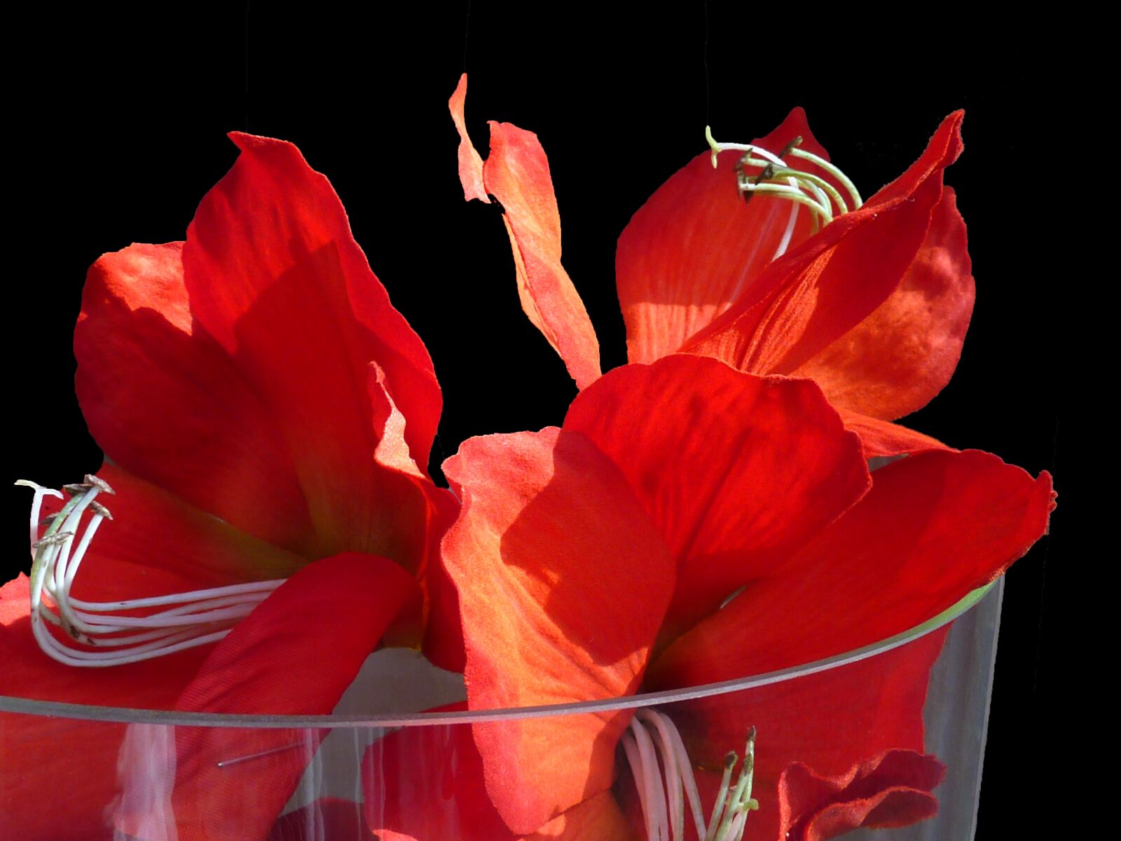 Panasonic DMC-TZ7 sample photo. Flowers, artificial flowers, red photography
