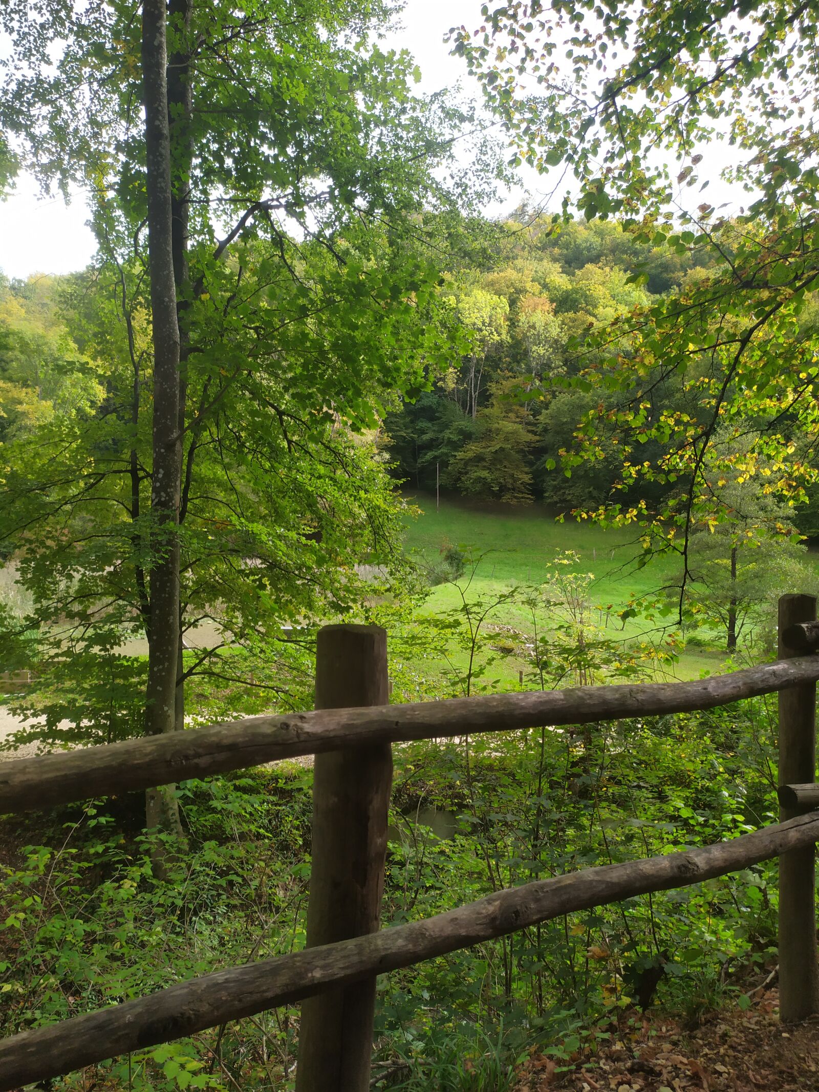 Xiaomi Redmi Note 7 sample photo. Autumn, nature, walk photography
