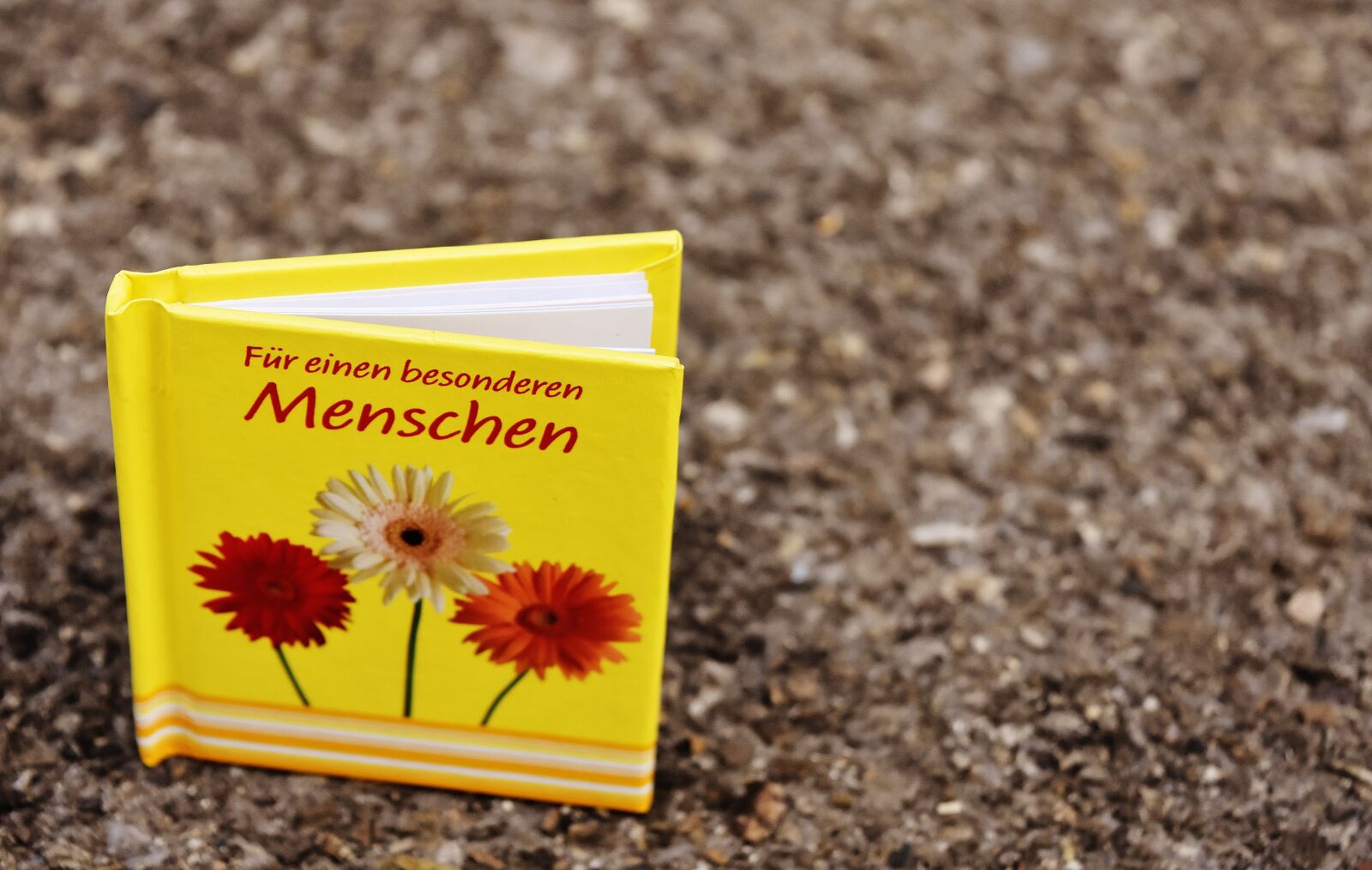 Nikon D7200 sample photo. Book, greeting card, rather photography