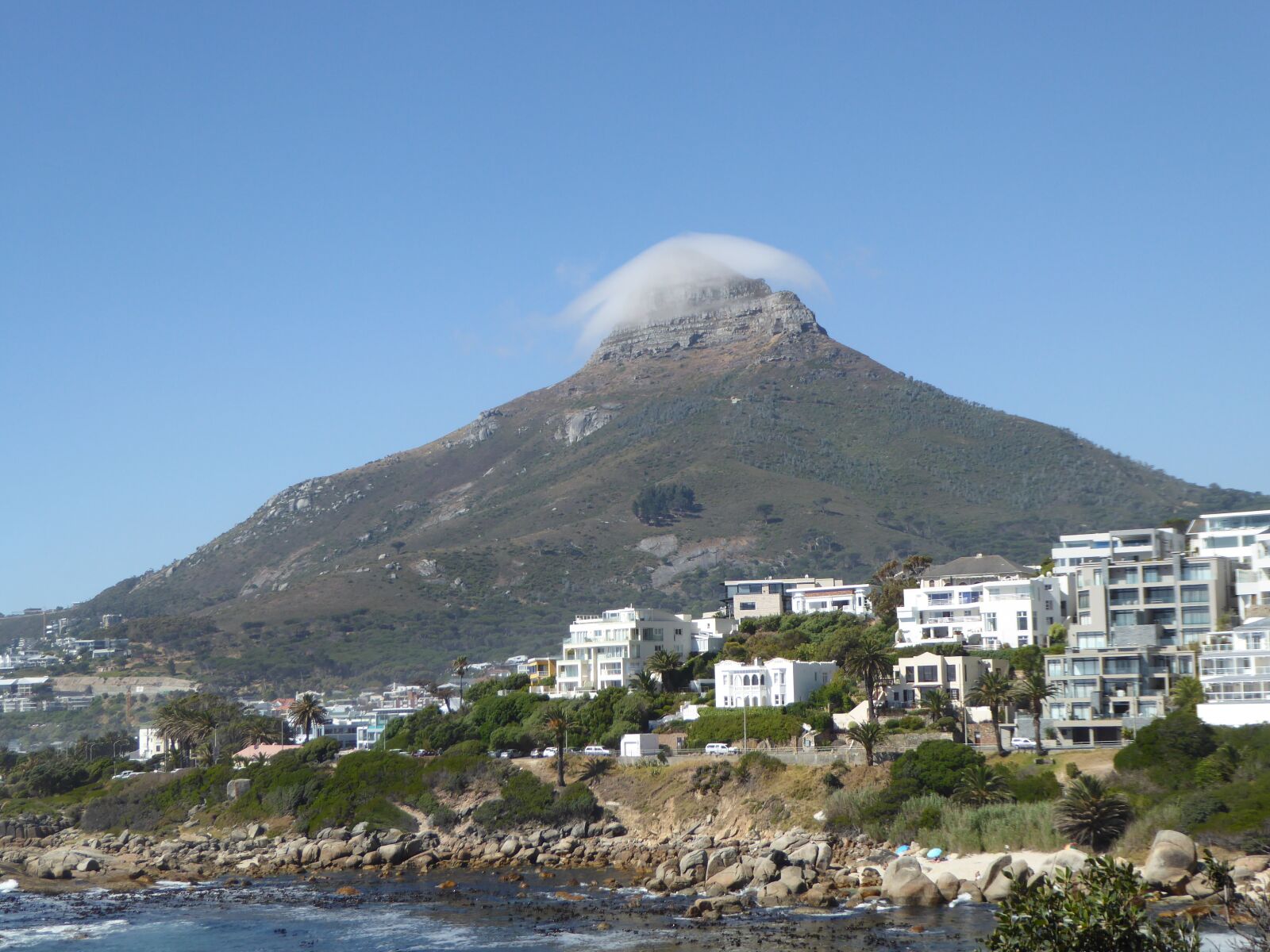 Panasonic DMC-TZ61 sample photo. Cape town, lion head photography