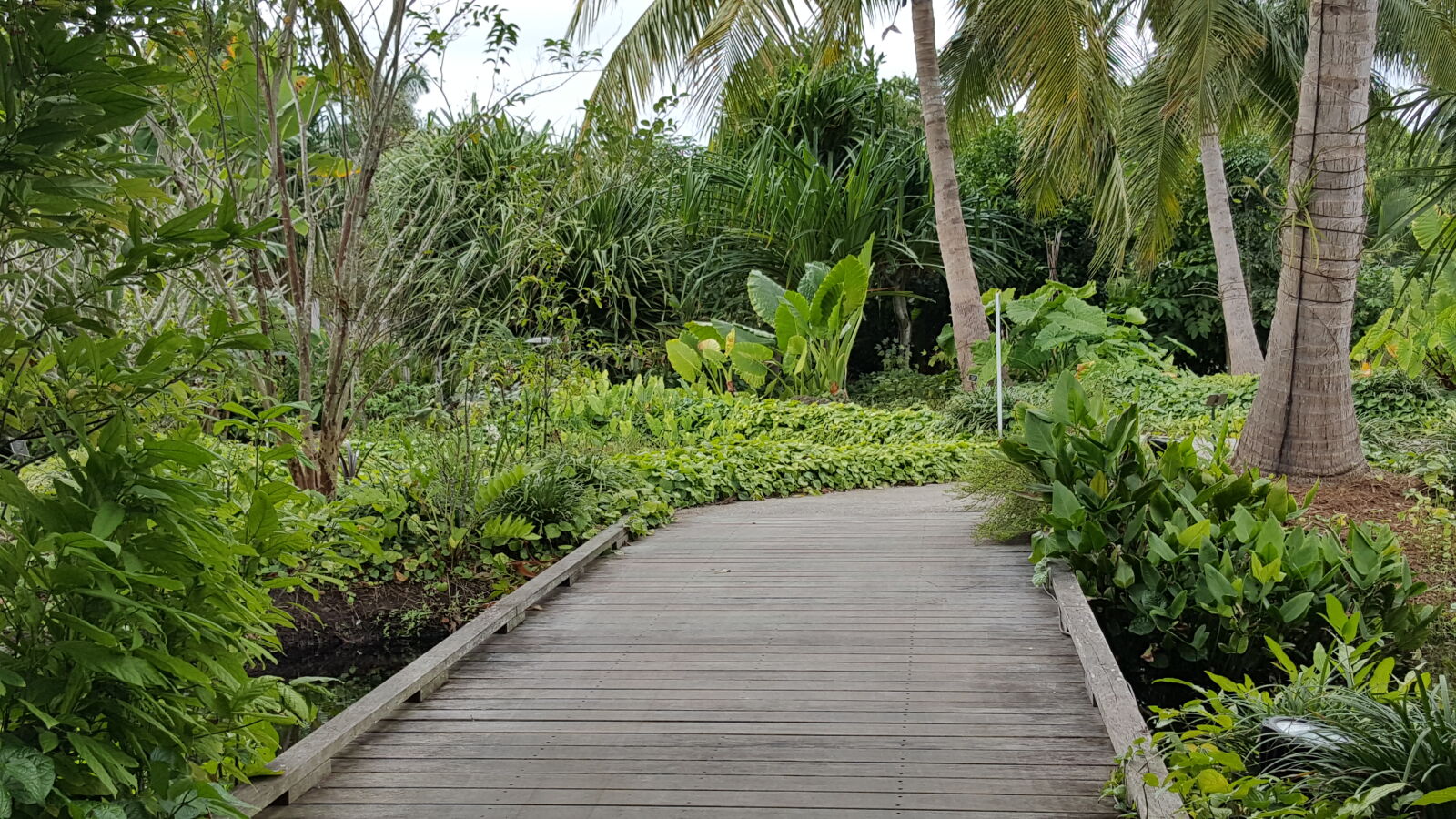 Samsung GALAXY S6 edge sample photo. Botanical, gardens photography