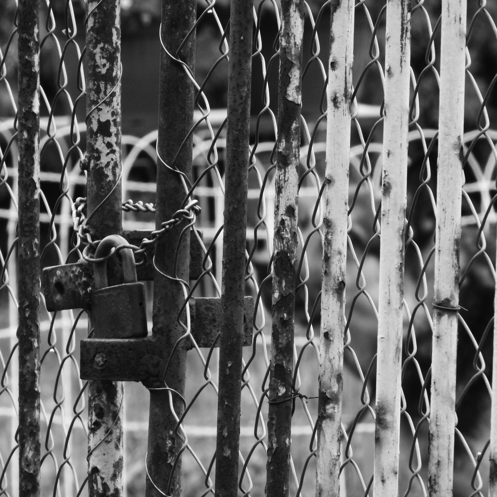 Nikon Coolpix P610 sample photo. Castle, rusty locked gate photography