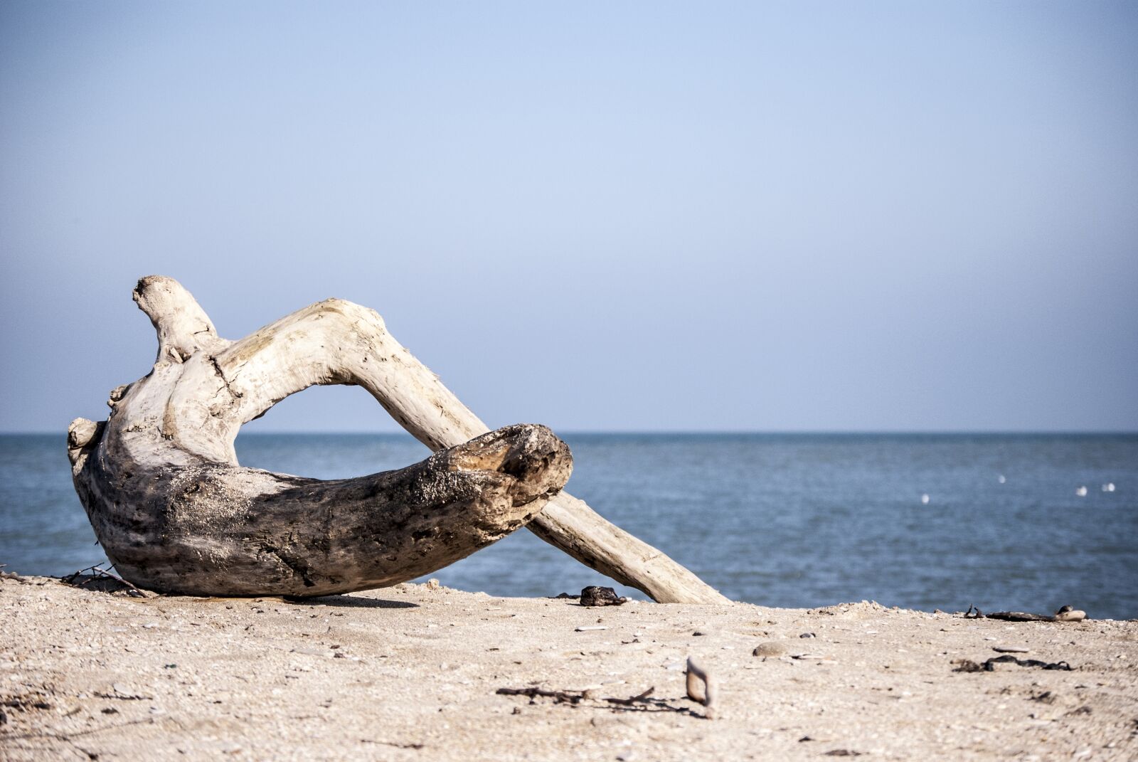 Nikon D60 sample photo. Sea, waters, beach photography