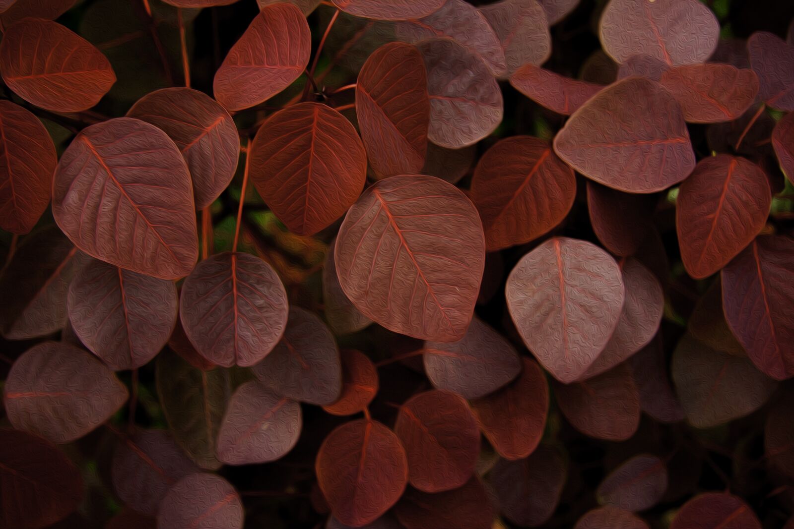 Canon EOS 350D (EOS Digital Rebel XT / EOS Kiss Digital N) sample photo. Leaves, pattern, nature photography