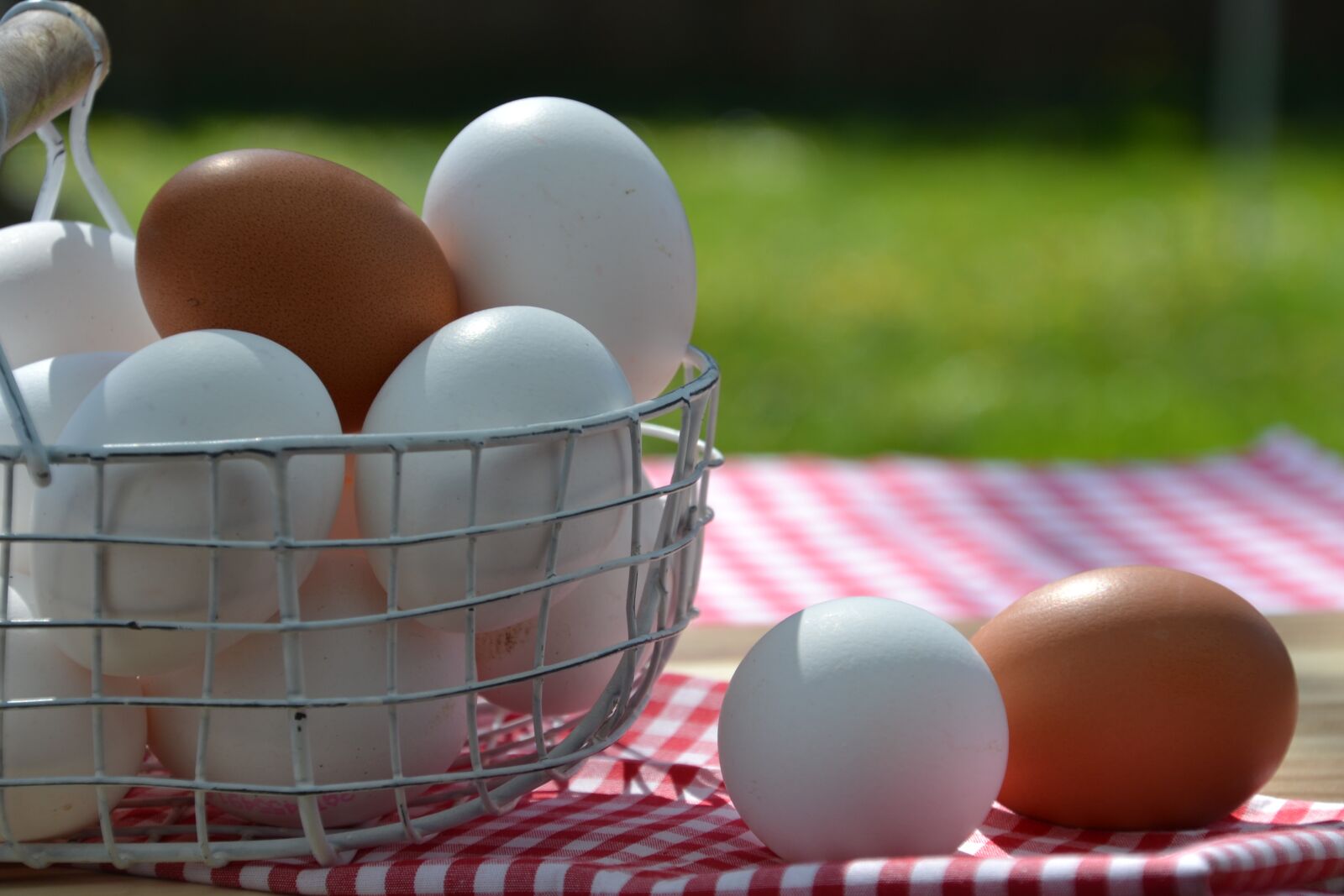 Nikon D3100 sample photo. Egg, white, brown photography