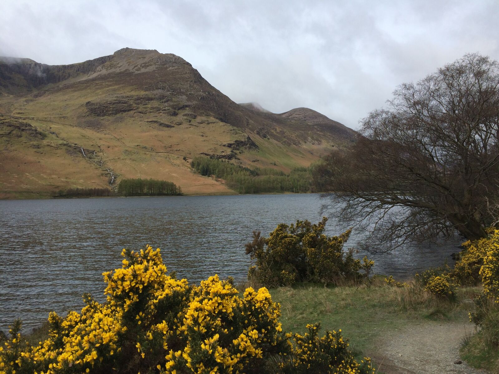 iPhone 5s back camera 4.15mm f/2.2 sample photo. Lake district, lake, buttermere photography