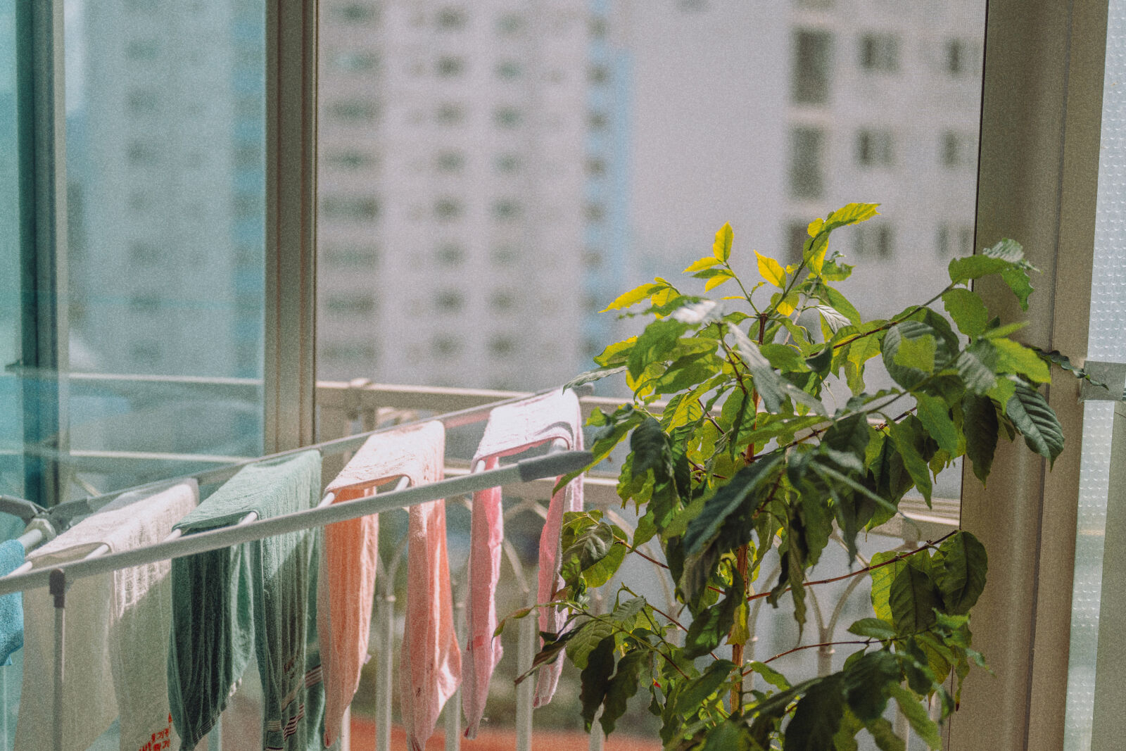 Nikon Nikkor Z 50mm F1.8 S sample photo
