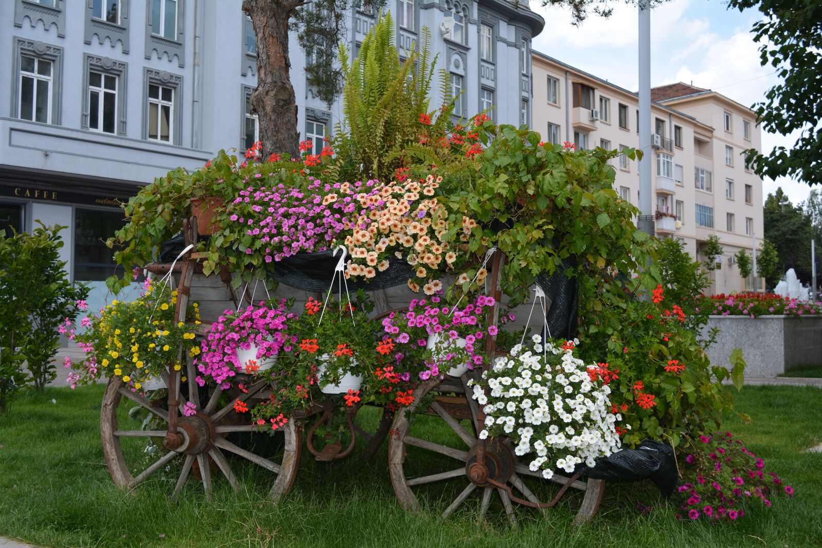 Nikon D5200 sample photo. Flowers, arrangement, wheel photography