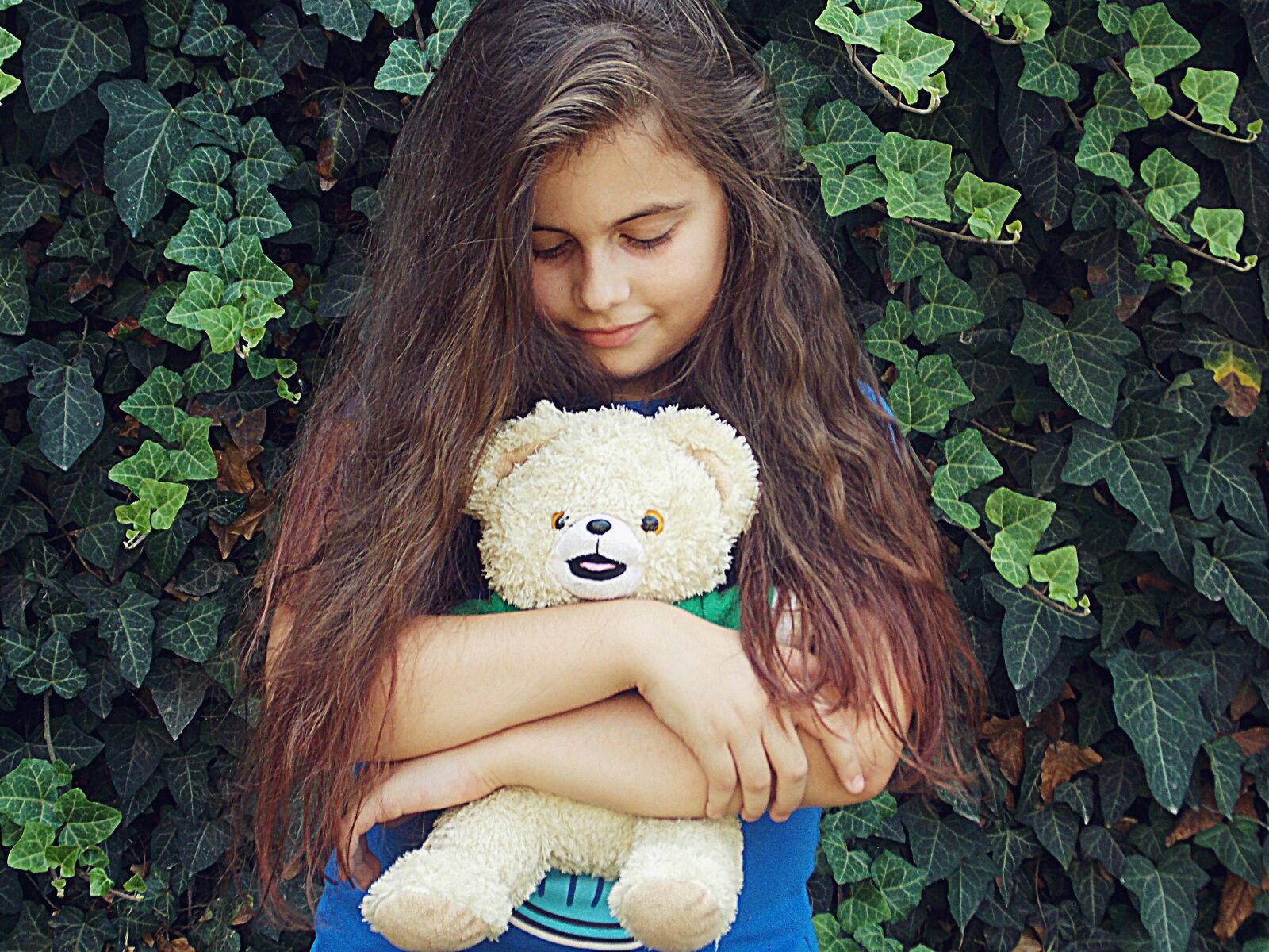 Nikon Coolpix L810 sample photo. Teddy bear, sissy, joy photography