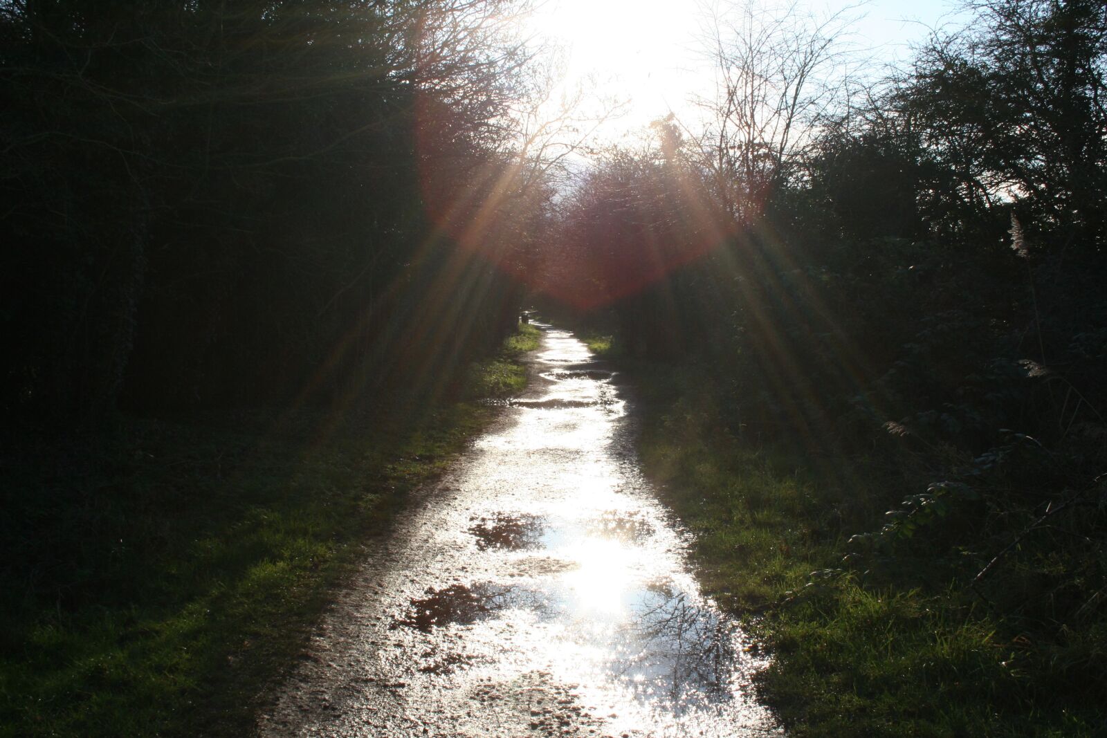 Canon EOS 350D (EOS Digital Rebel XT / EOS Kiss Digital N) sample photo. Sunny, sunshine, path photography