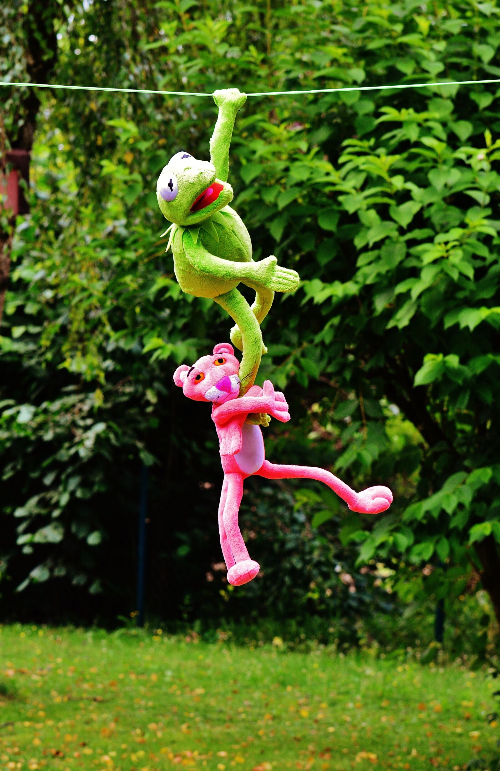 Nikon D3200 sample photo. Hang out, plush toys photography
