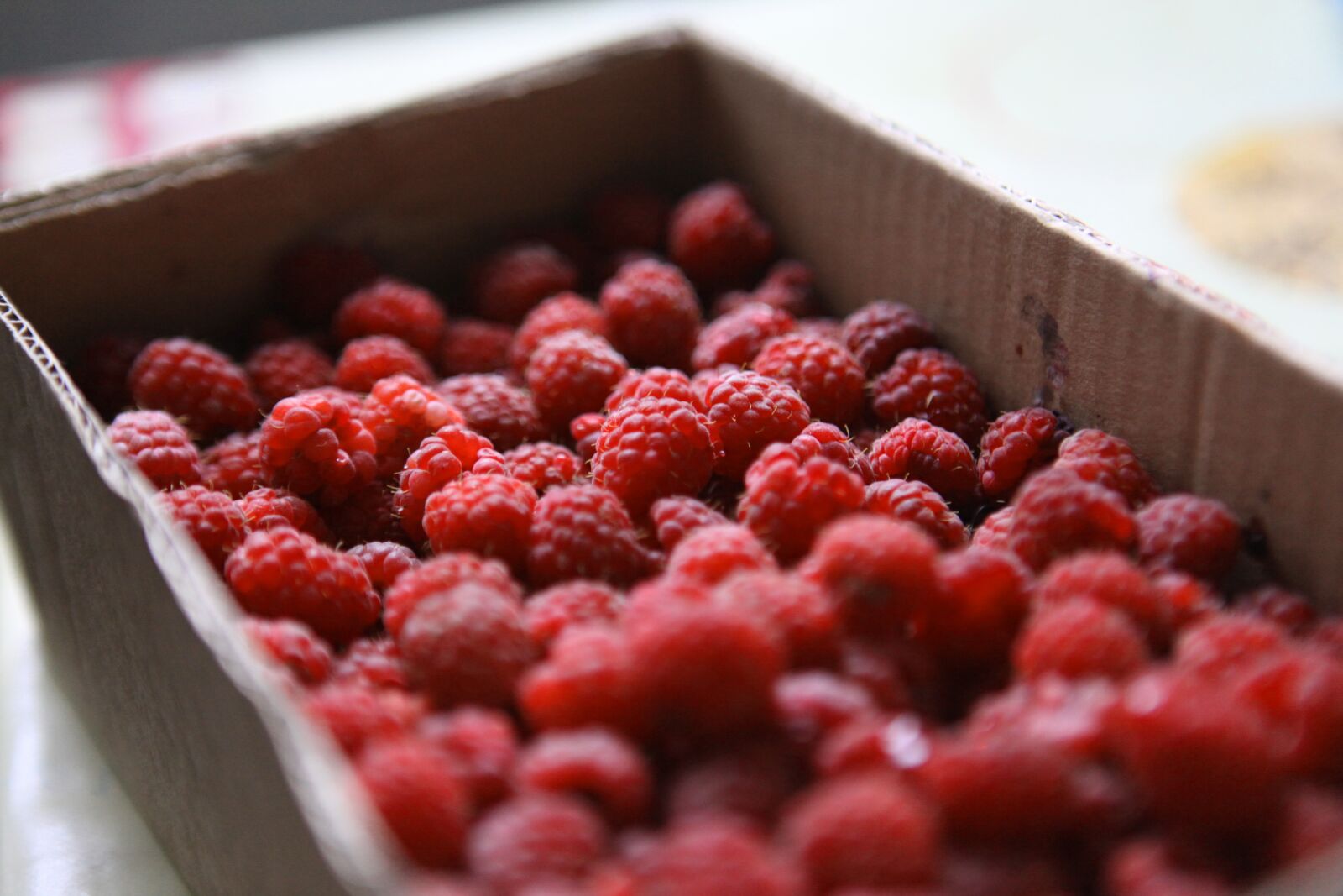 Canon EOS 5D Mark II sample photo. Raspberry, summer, berry photography