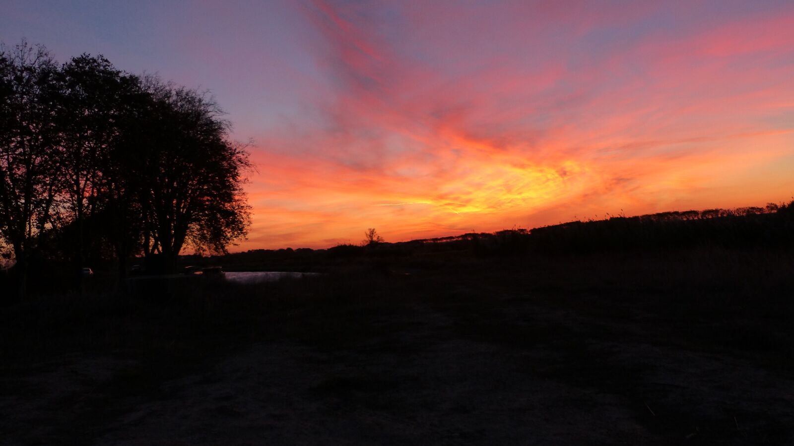 Panasonic Lumix DMC-FZ200 sample photo. Color, sun, sunset photography