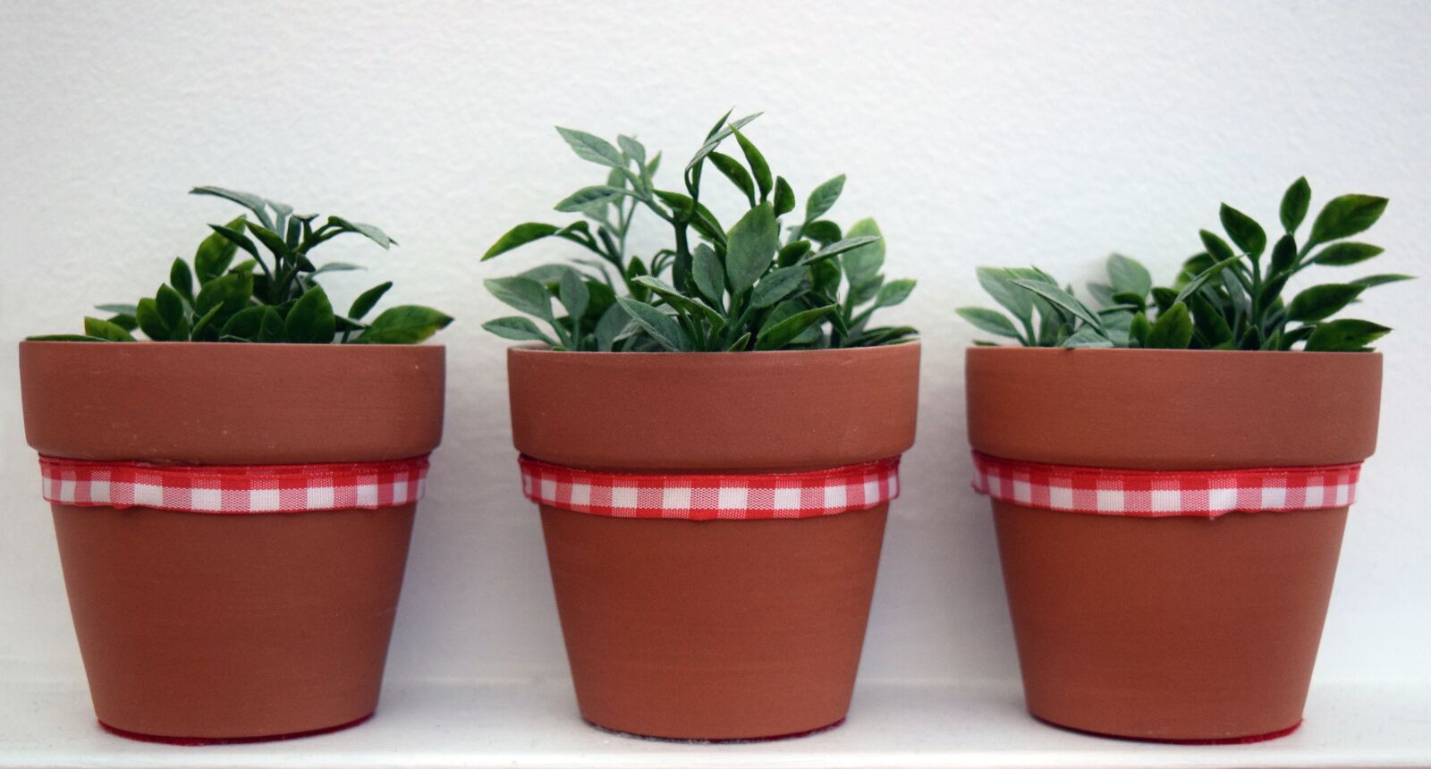 Nikon D3300 sample photo. Plants synthetic, stoneware, red photography