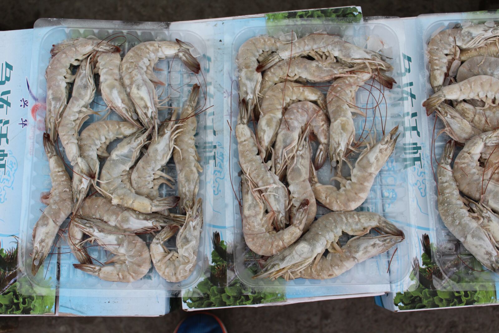 Canon EOS 1300D (EOS Rebel T6 / EOS Kiss X80) sample photo. Shrimp, prawns, frozen shrimp photography