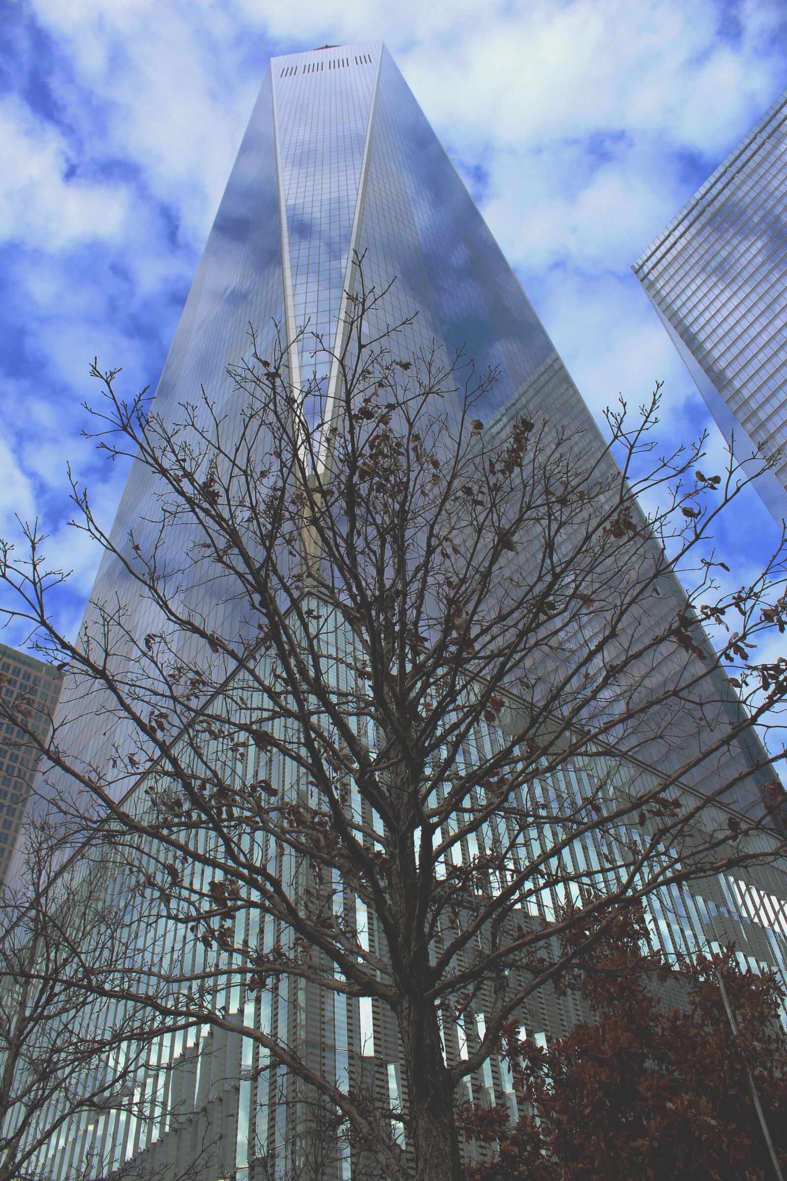 Canon EOS 1300D (EOS Rebel T6 / EOS Kiss X80) sample photo. New york, new york photography
