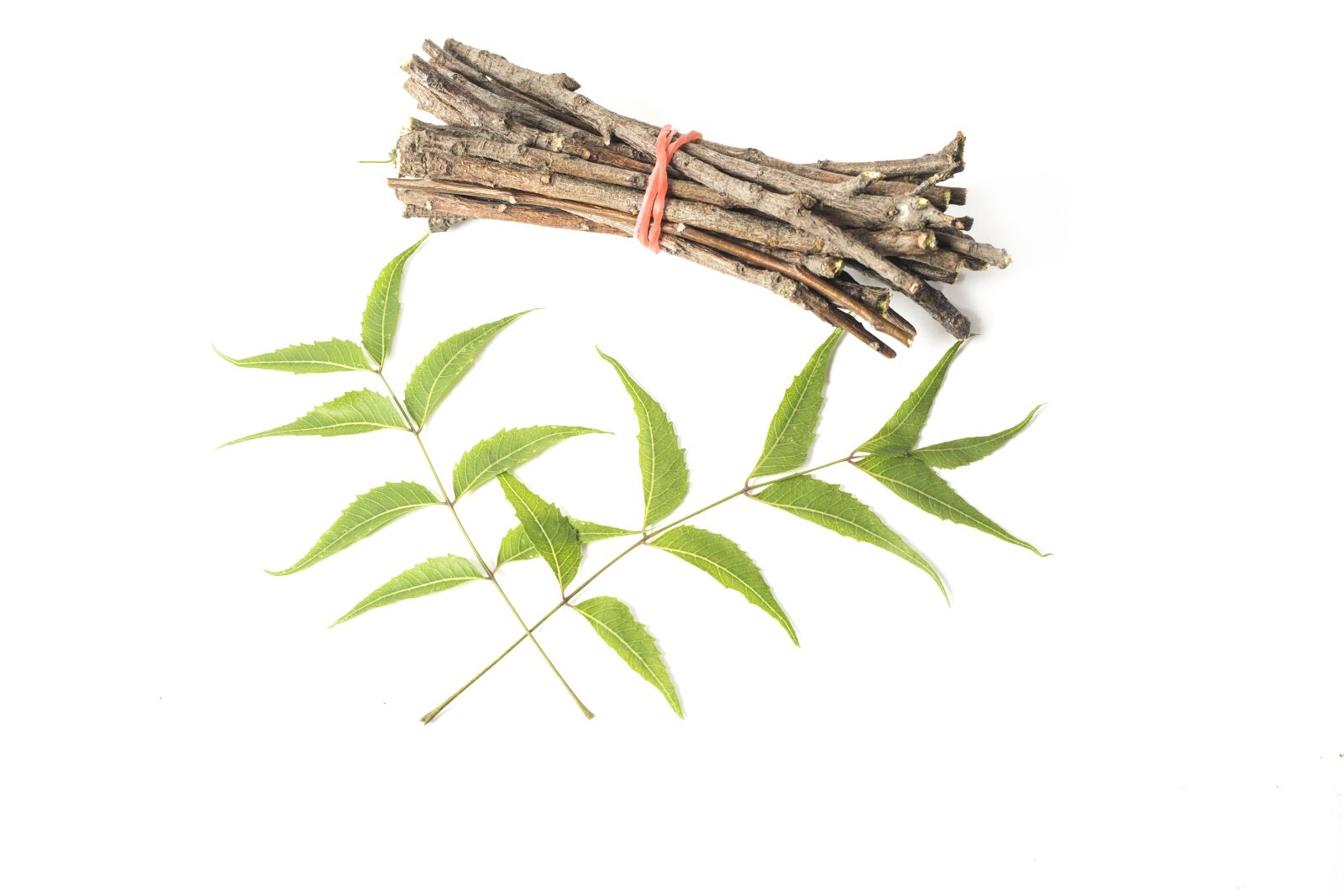 Canon EOS 5D Mark III sample photo. Ayurveda, ayurveda herbs, beauty photography