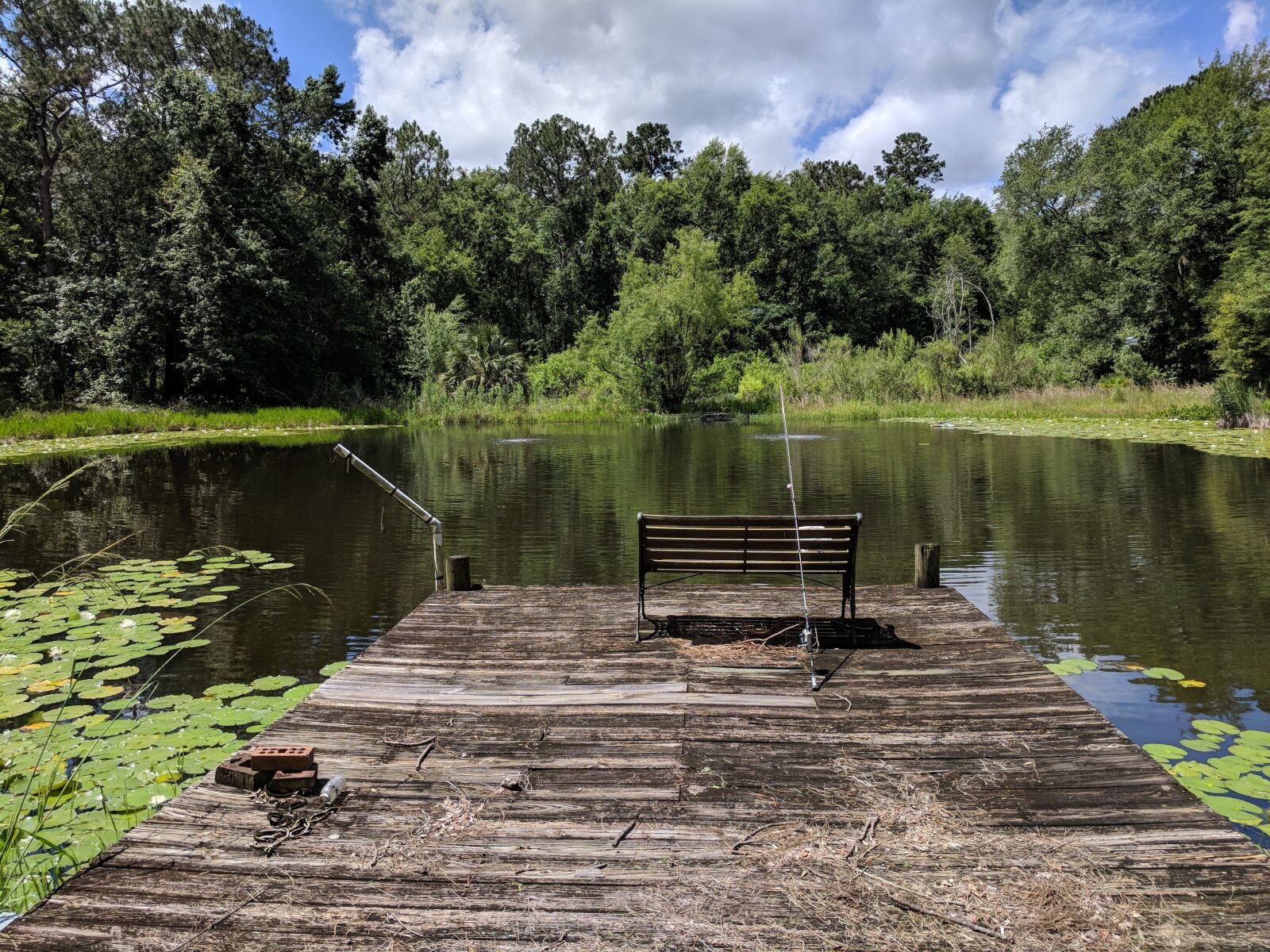 Google Pixel sample photo. Pond, dock, nature photography