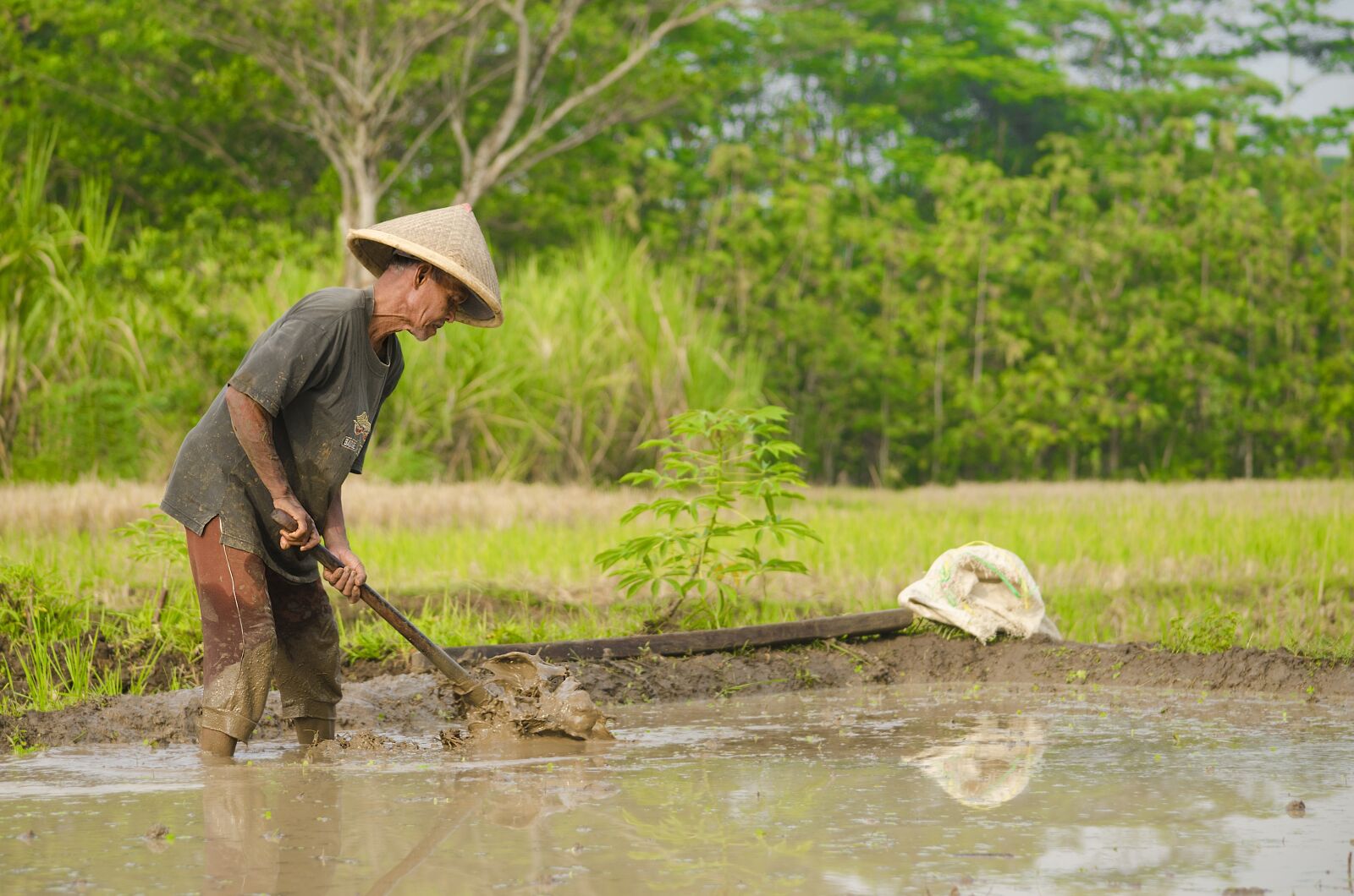 Nikon D7000 sample photo. Grandparents, farm, mud photography
