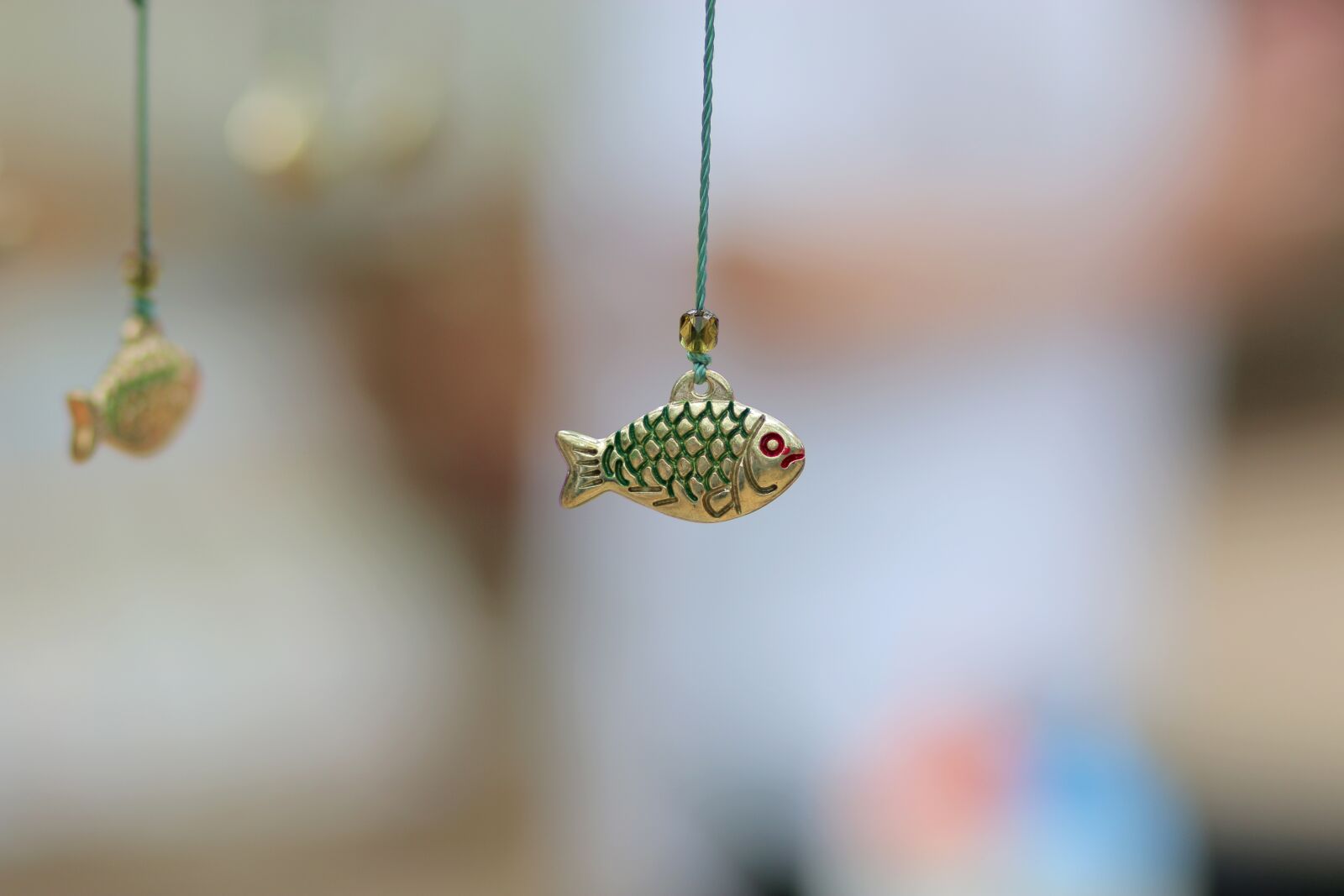Canon EOS 70D + Canon EF 85mm F1.8 USM sample photo. Model, decorative fish, landscape photography