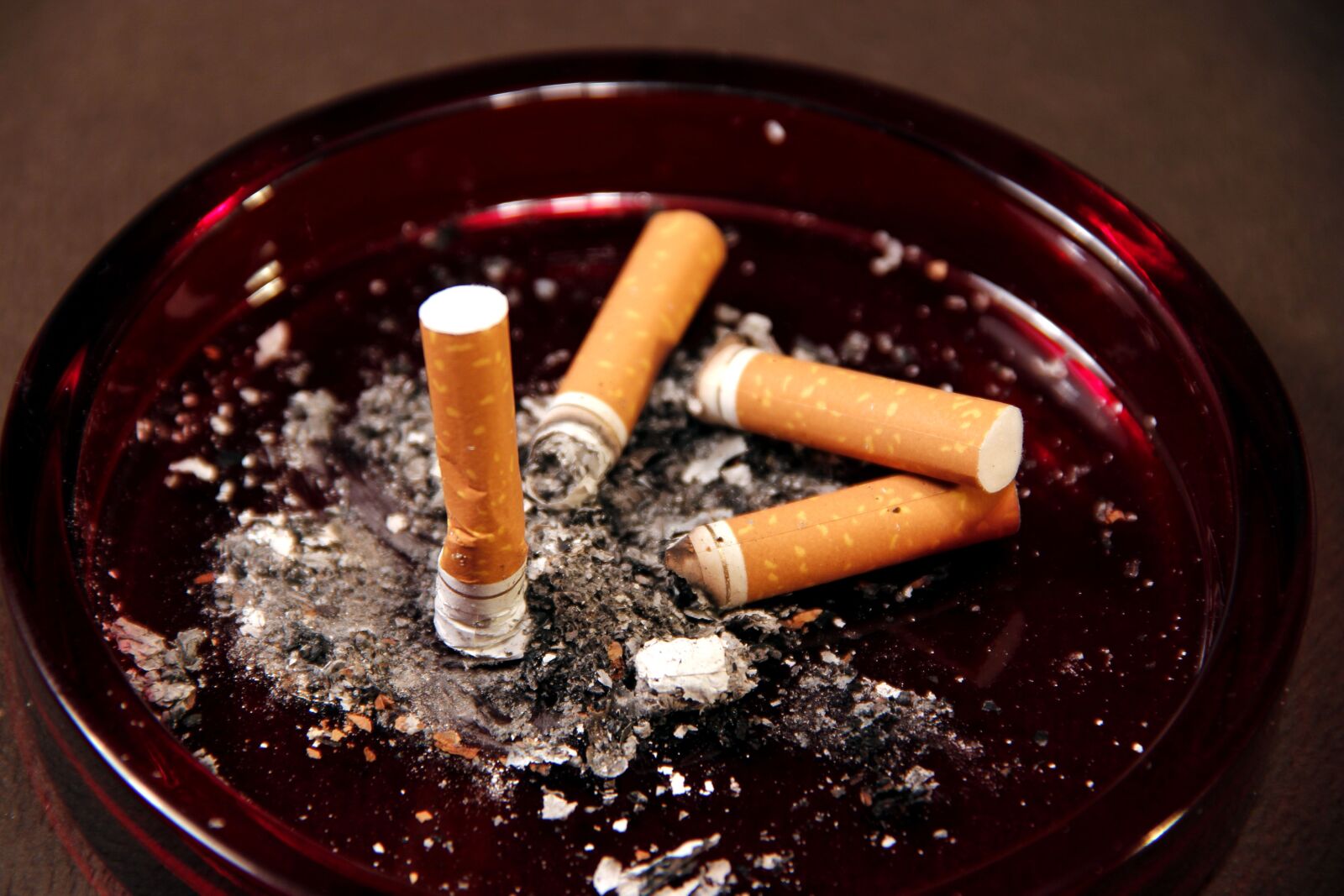 Canon EOS 600D (Rebel EOS T3i / EOS Kiss X5) sample photo. Four, cigarette, butts, ashes photography