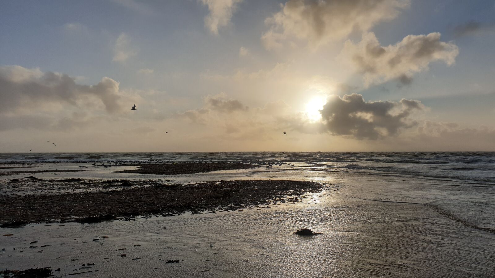Samsung Galaxy S9+ sample photo. Denmark, beach, north sea photography