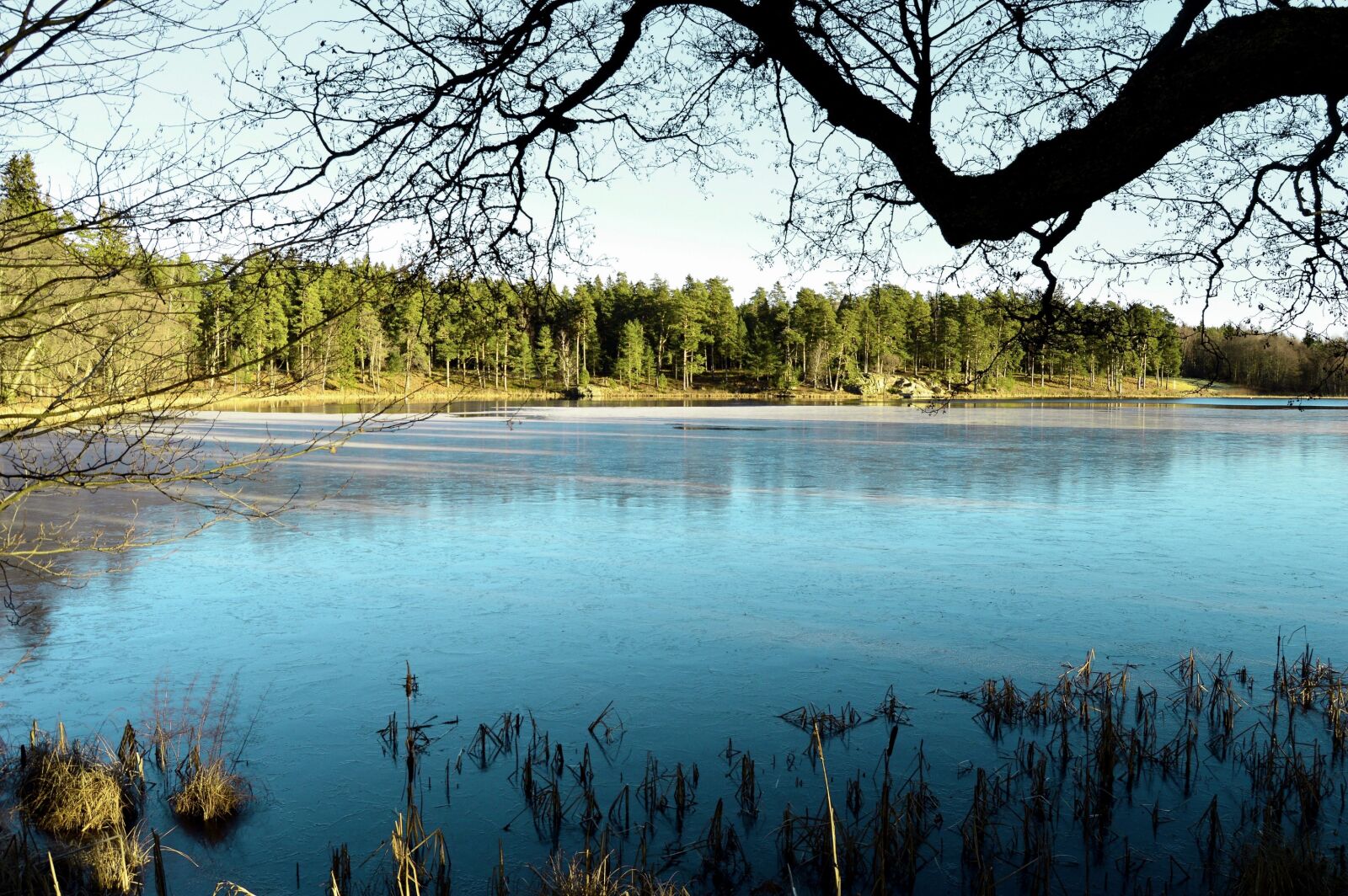 Nikon D3200 sample photo. Forest, lake, landscape, nature photography