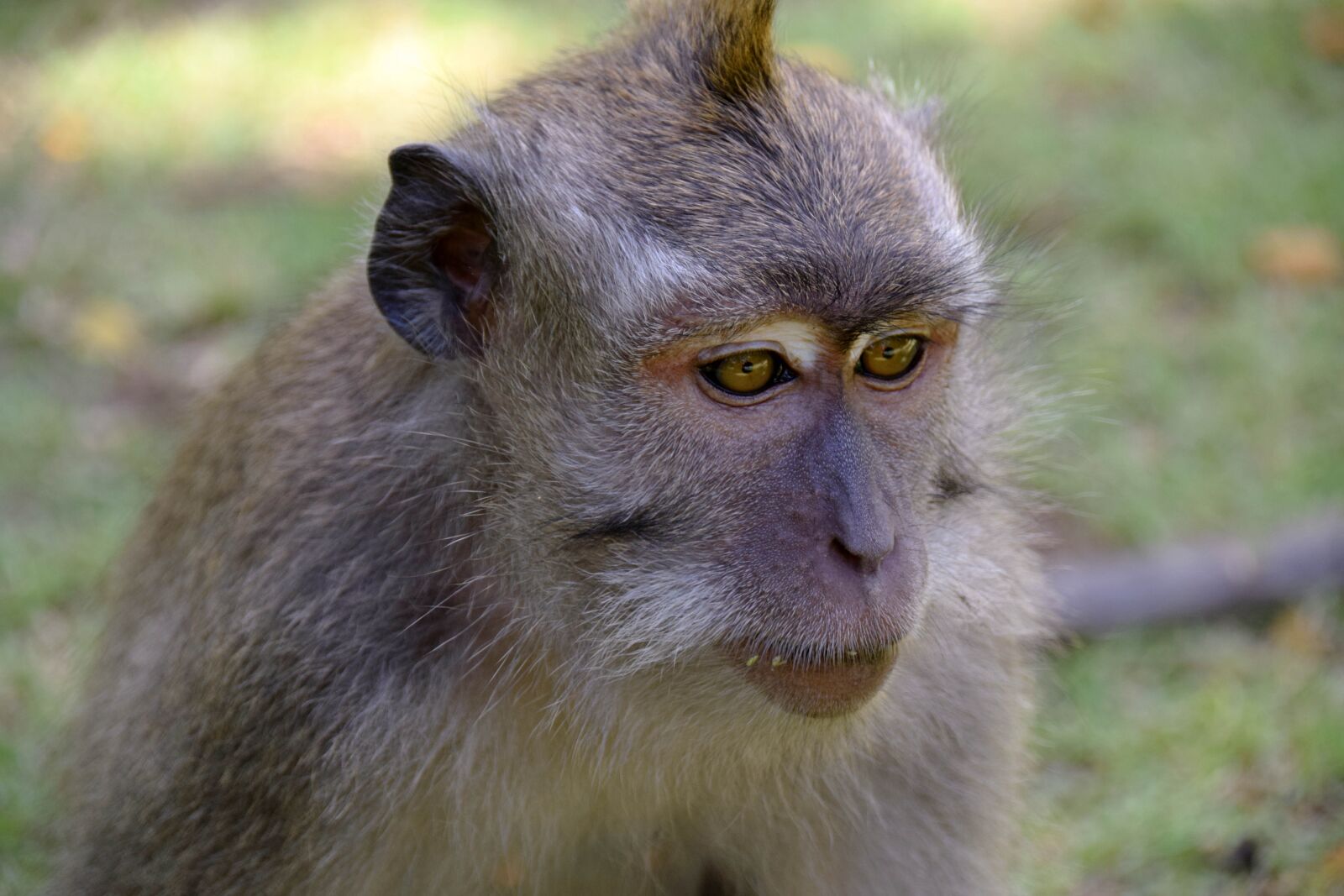 Nikon D3300 sample photo. Bali, indonesia, travel photography
