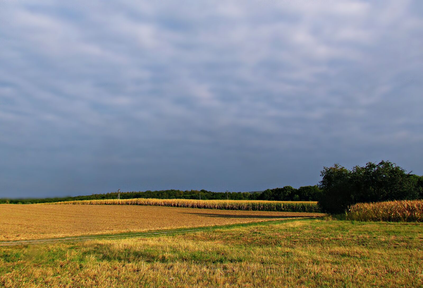 Canon PowerShot SX30 IS sample photo. Landscape, field, clouds photography